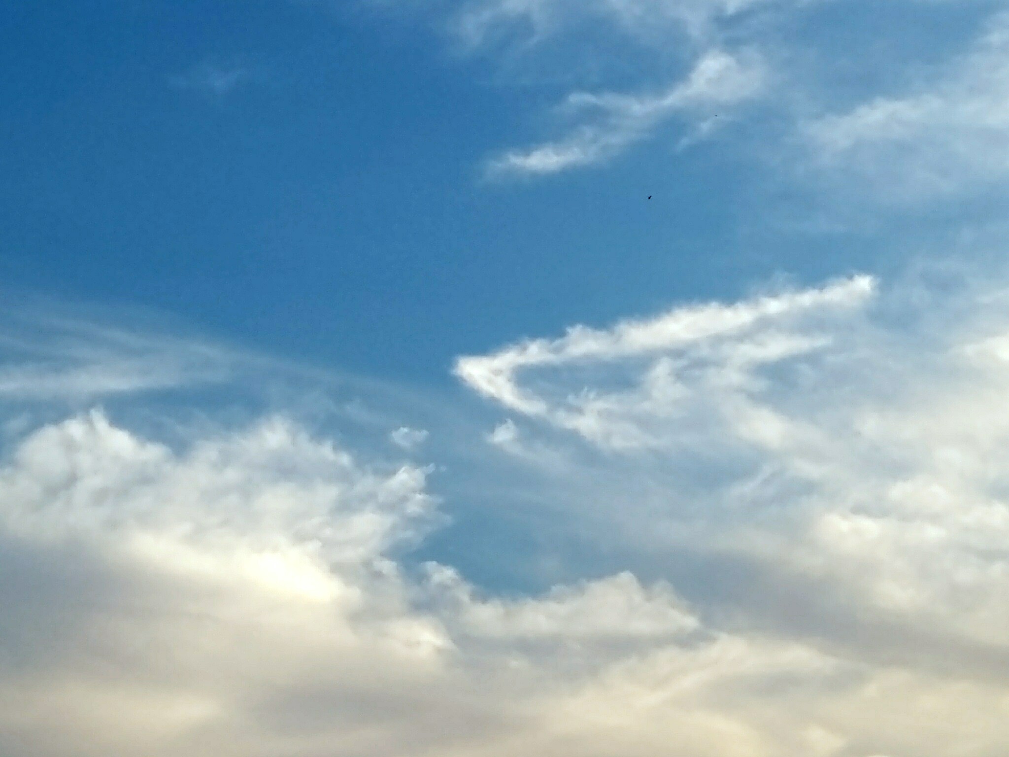 No.31320-1 地震雲