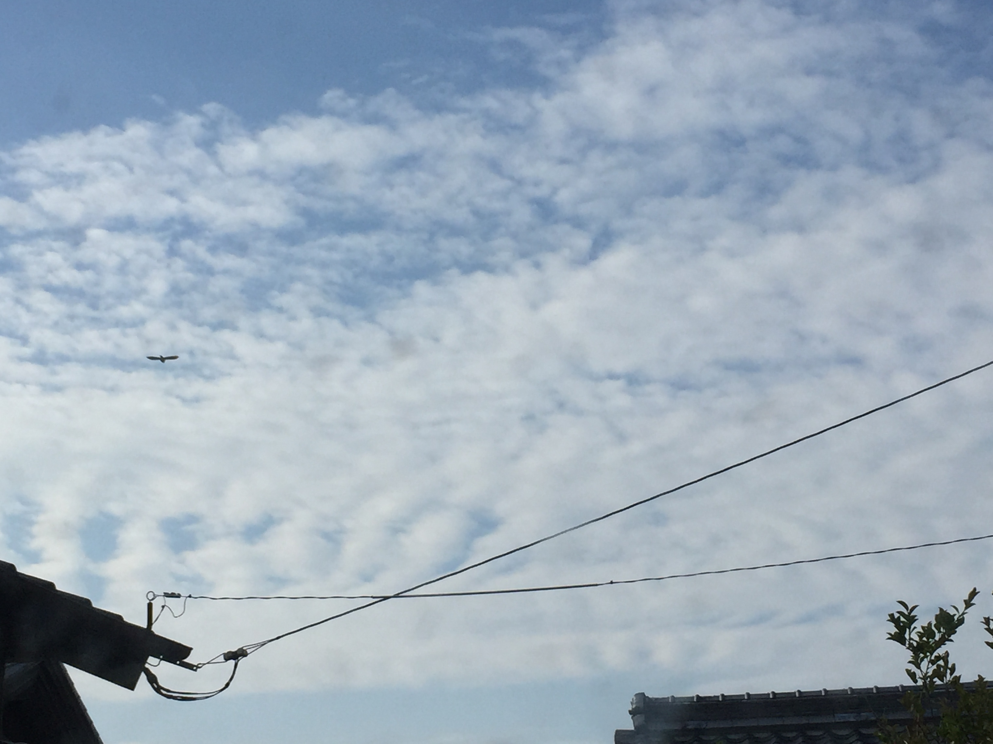 No.31359-1 地震雲