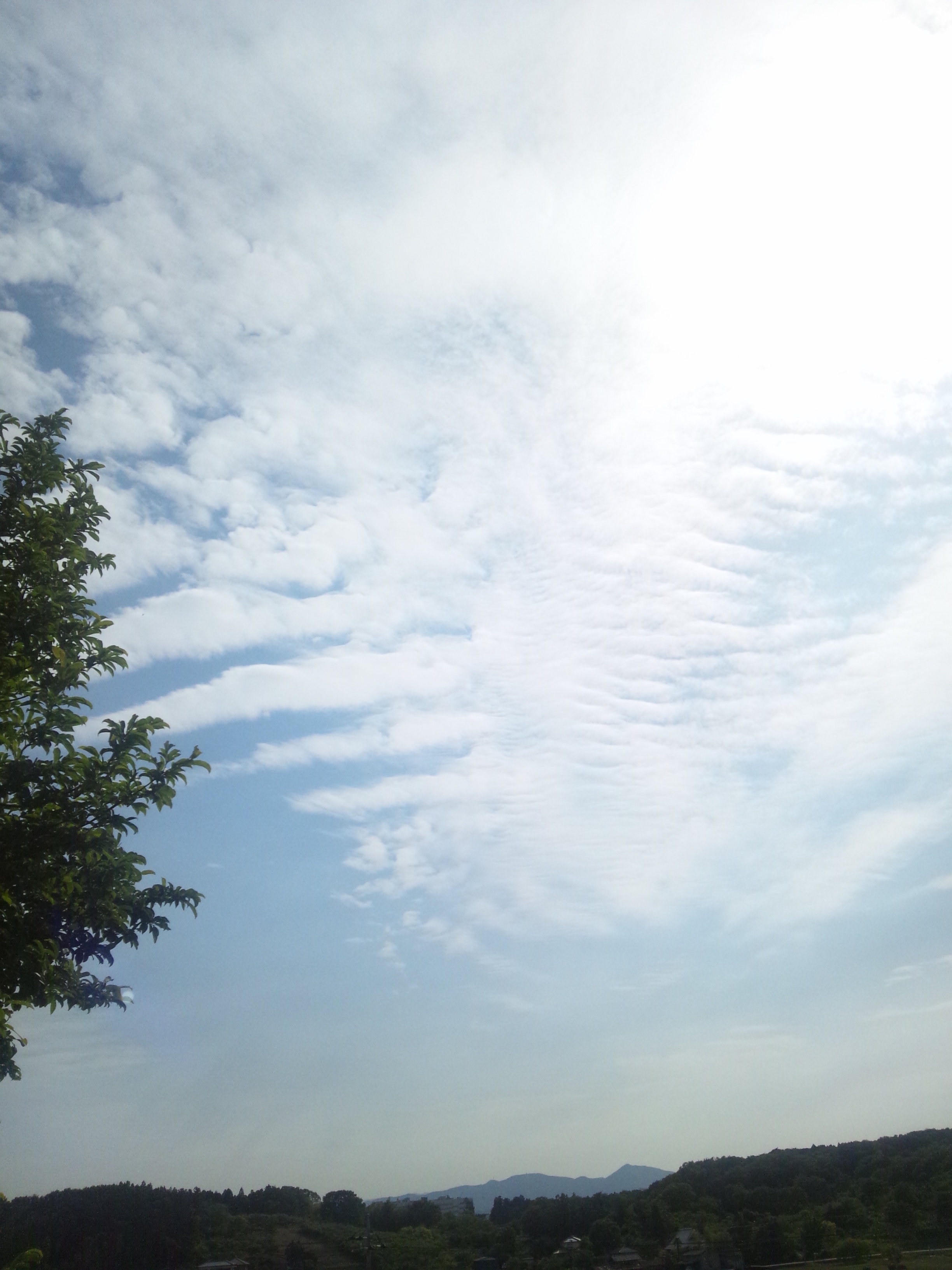 No.31380-1 地震雲