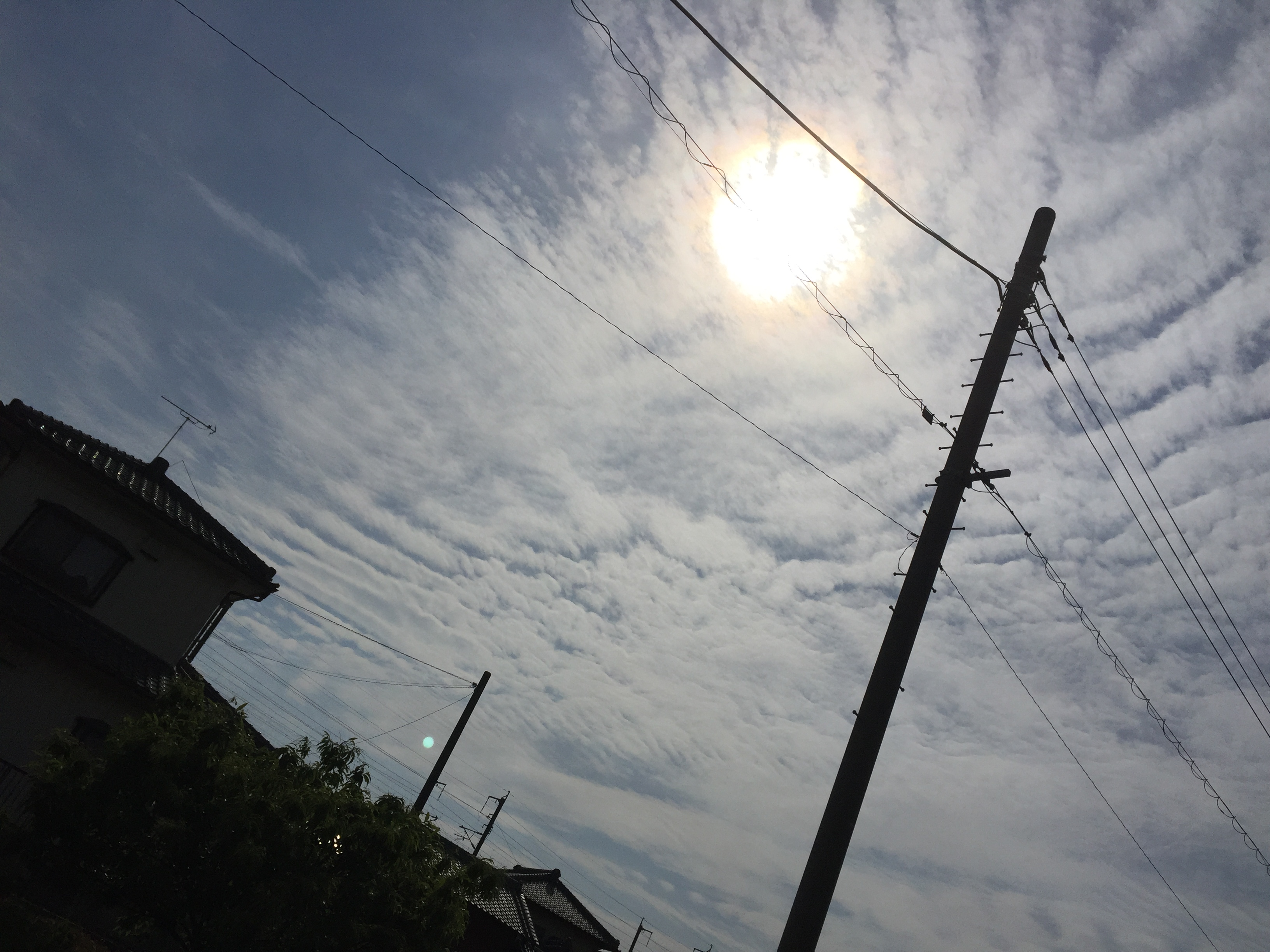 No.31383-1 地震雲