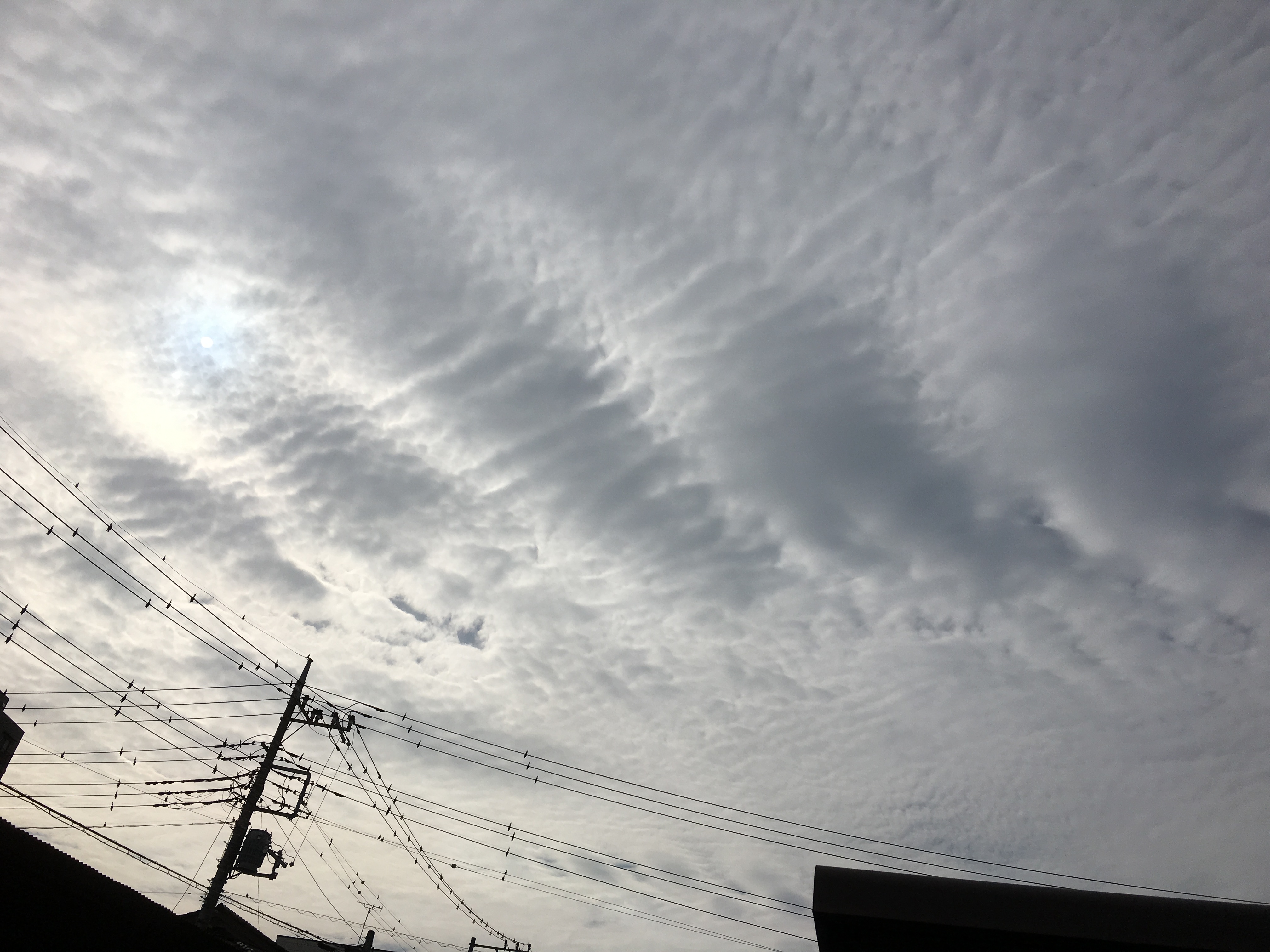 No.31384-1 地震雲