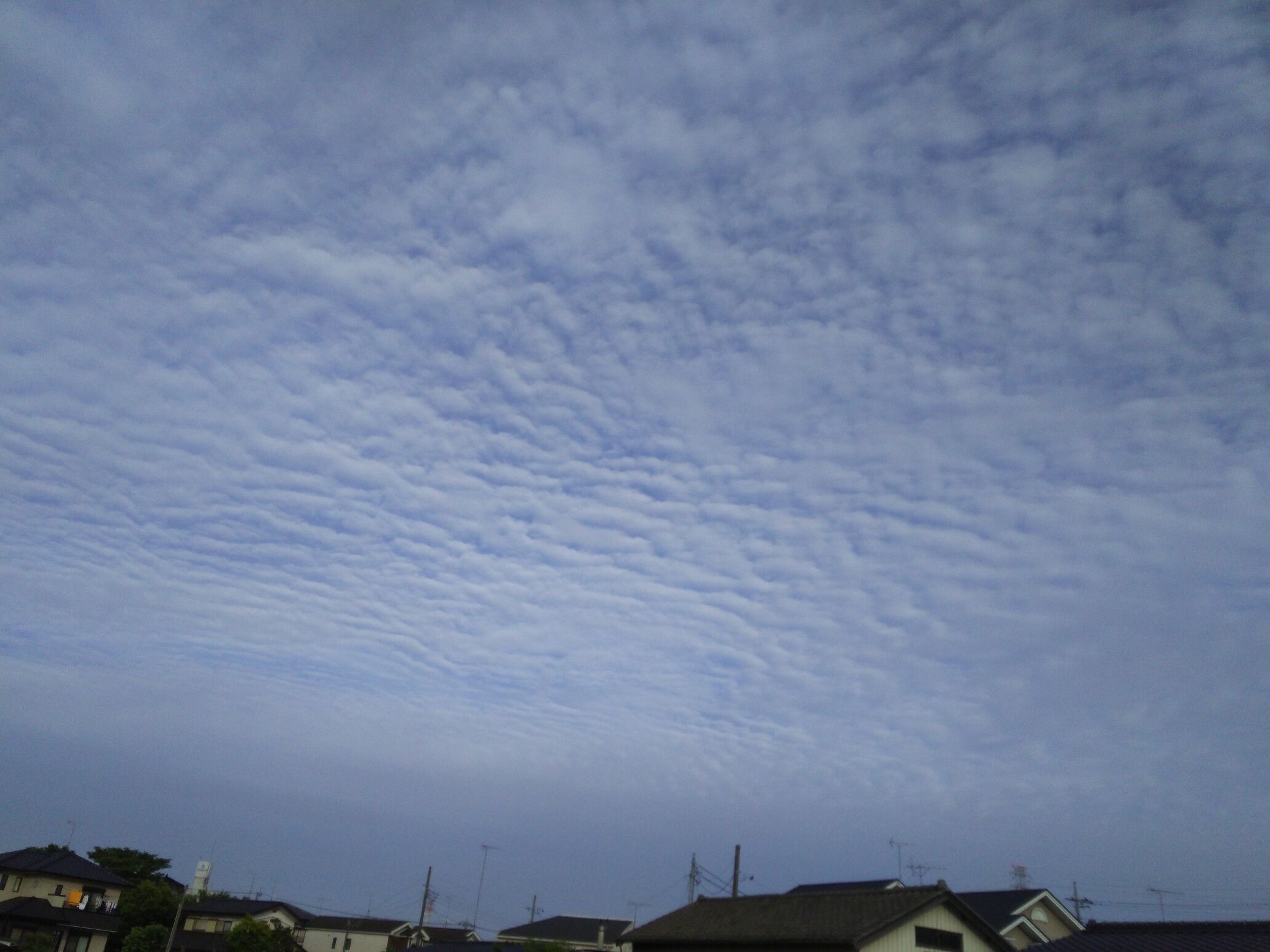 No.31391-1 地震雲