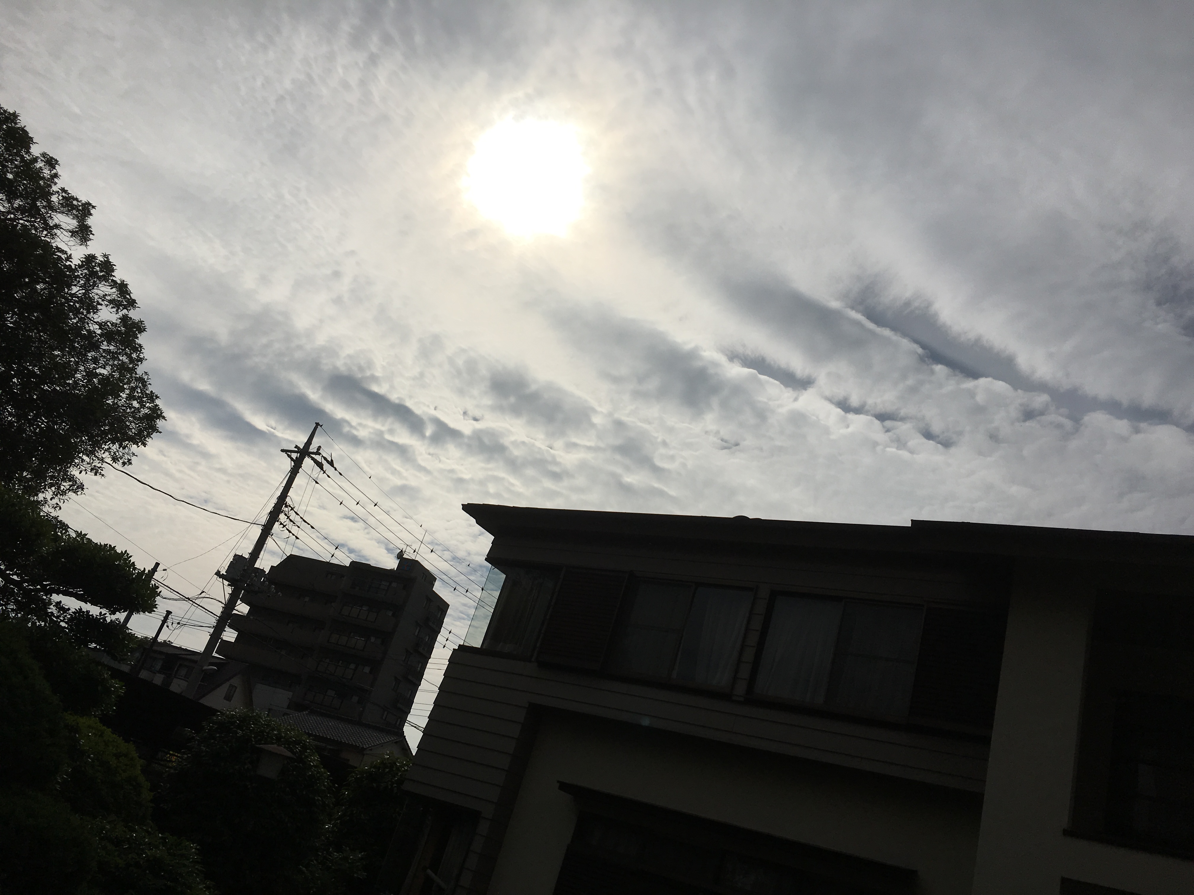 No.31404-1 地震雲