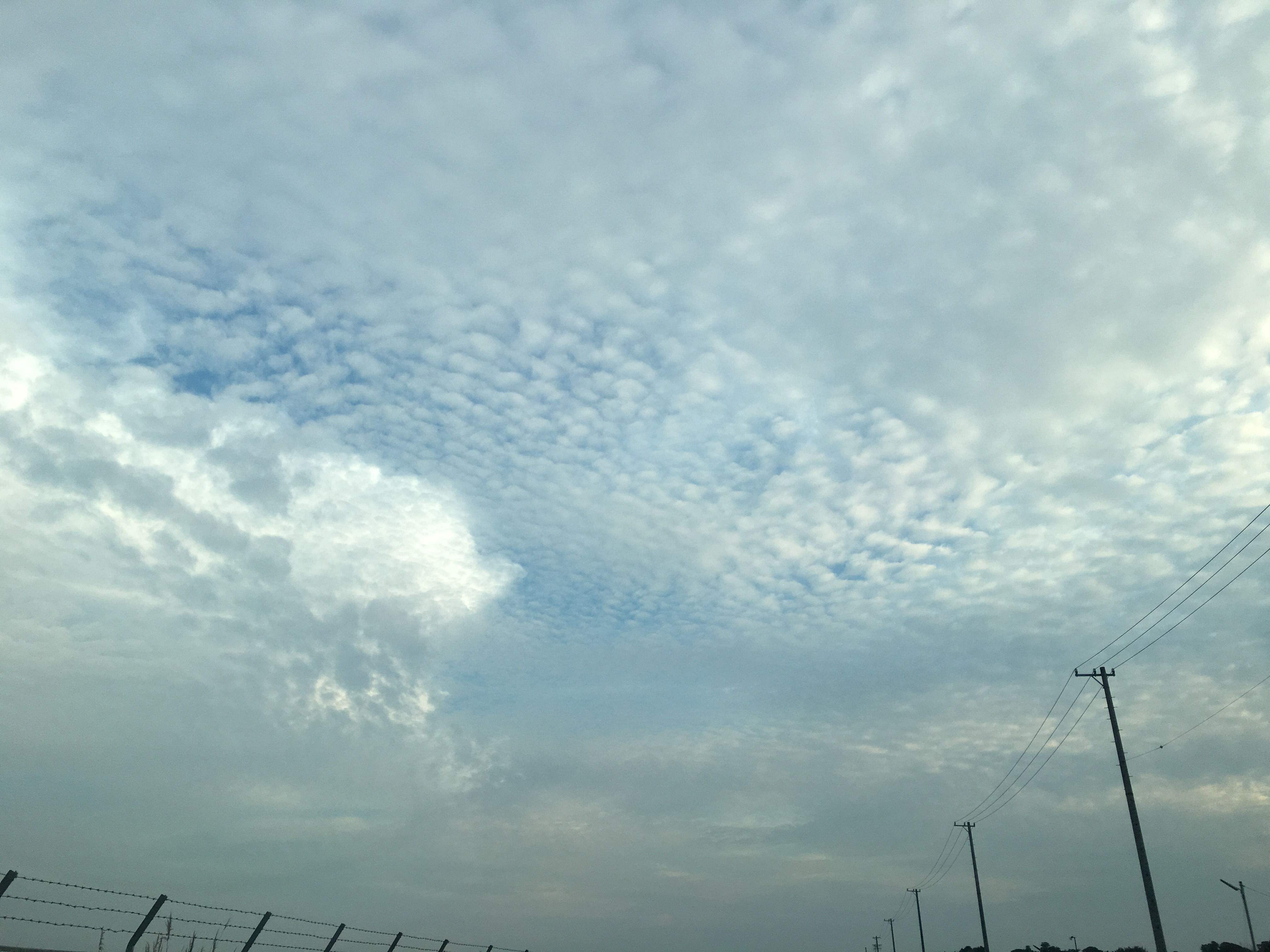 No.31602-1 地震雲