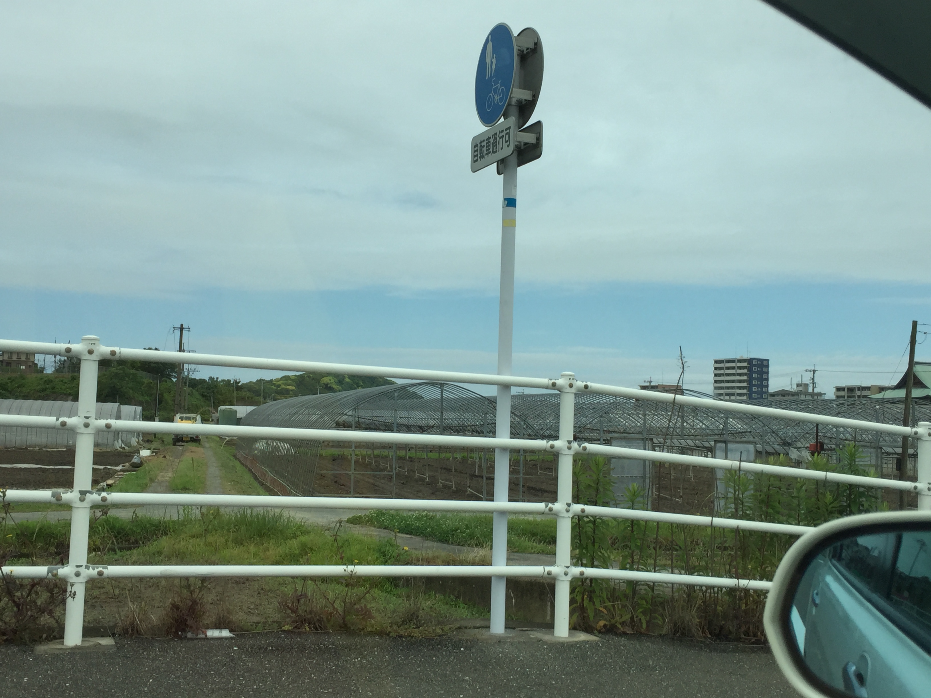 No.31652-1 地震雲