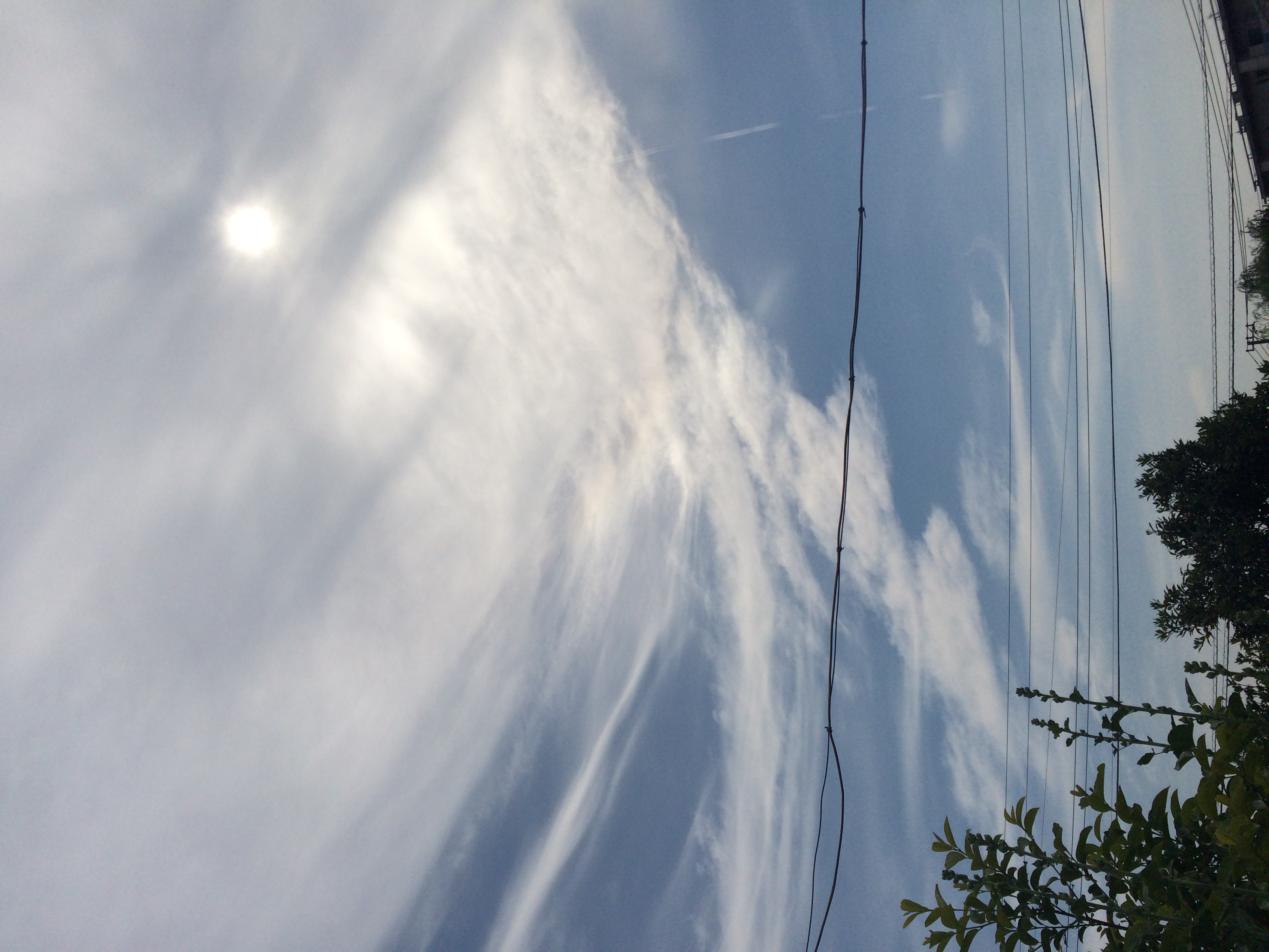 No.31677-1 地震雲