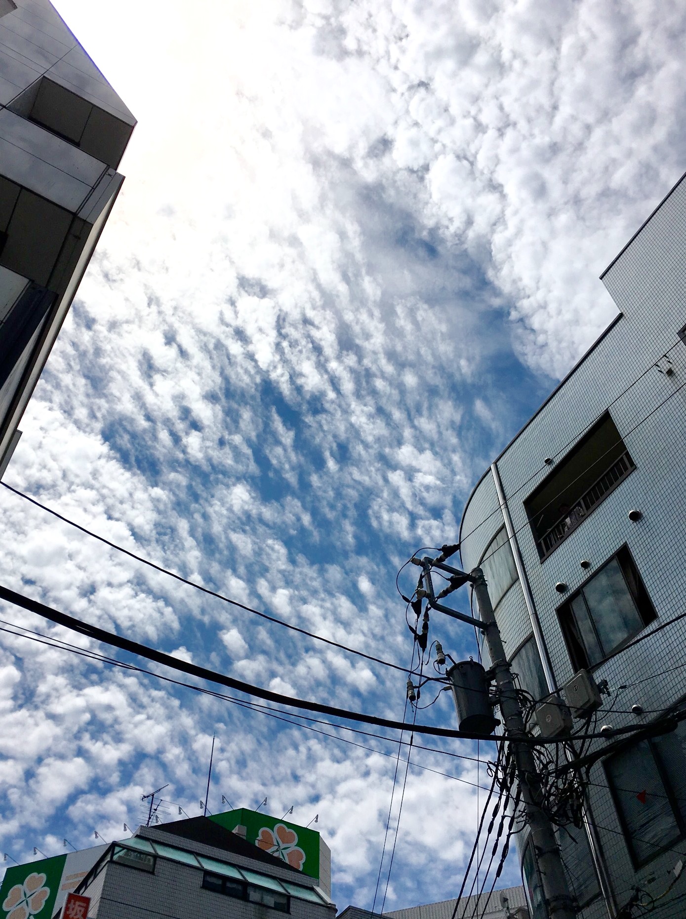 No.31788-1 地震雲