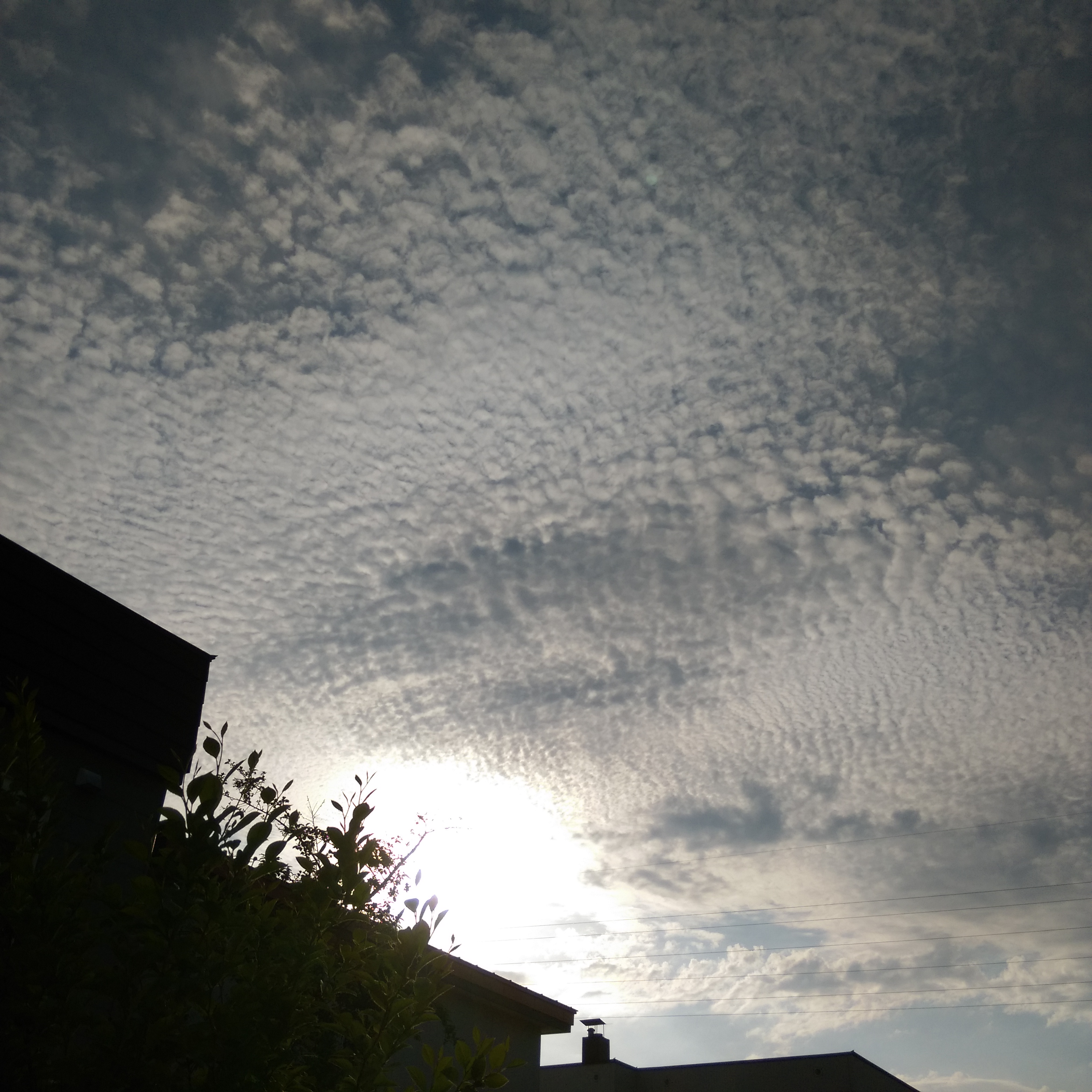 No.31813-1 地震雲