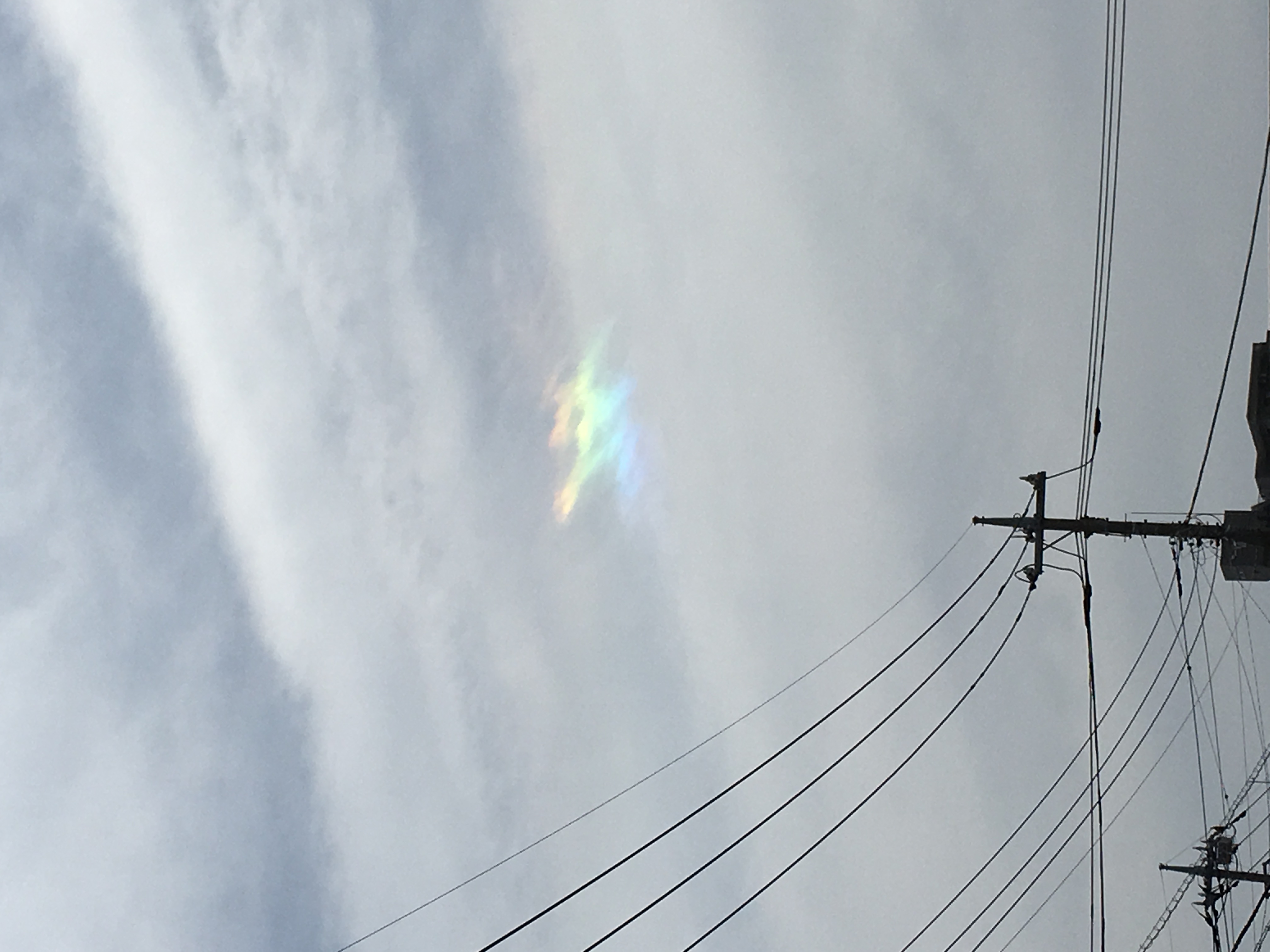 No.31900-1 地震雲