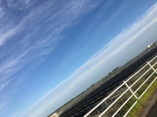 No.31919-1 地震雲