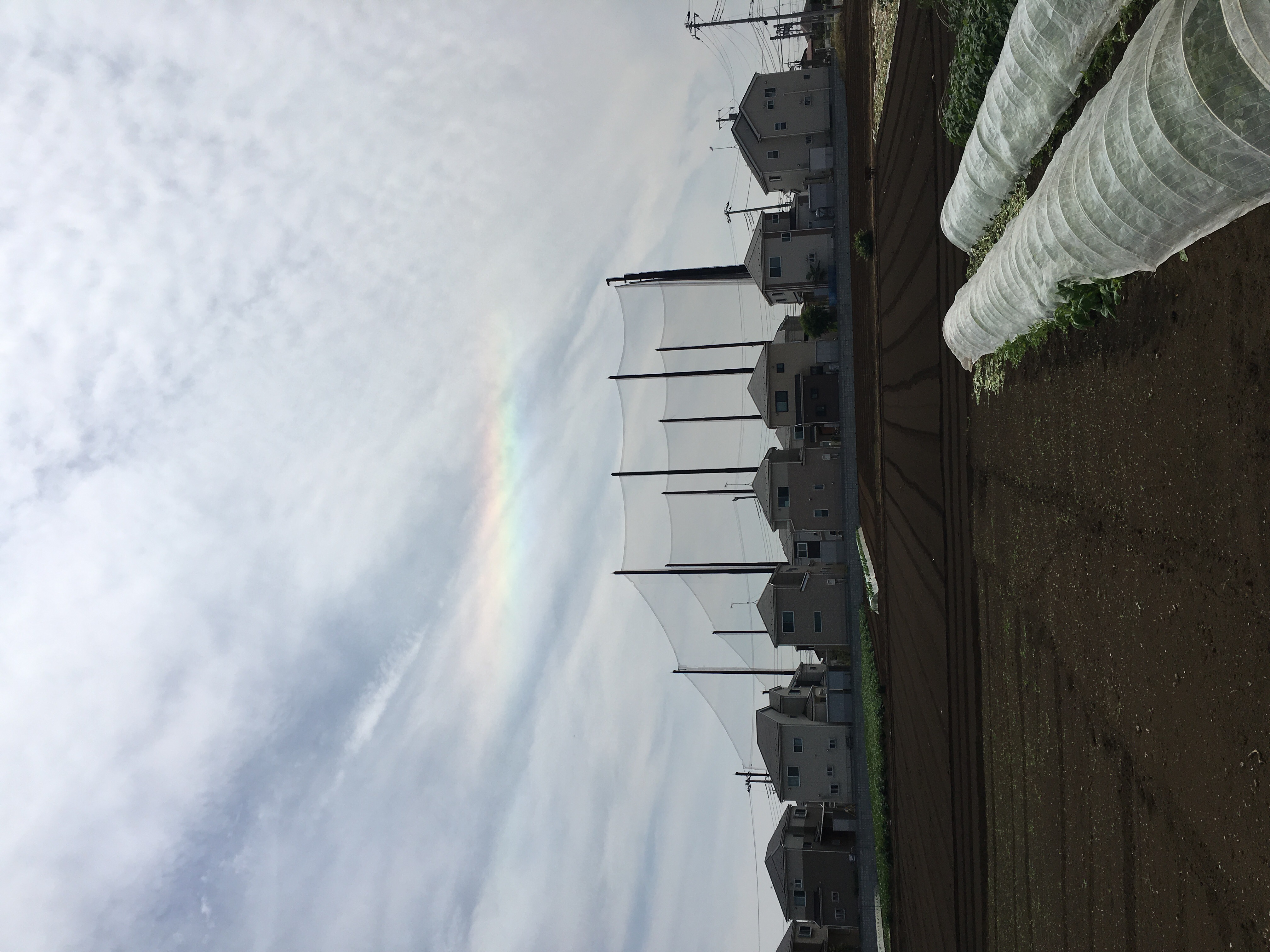 No.31924-1 地震雲