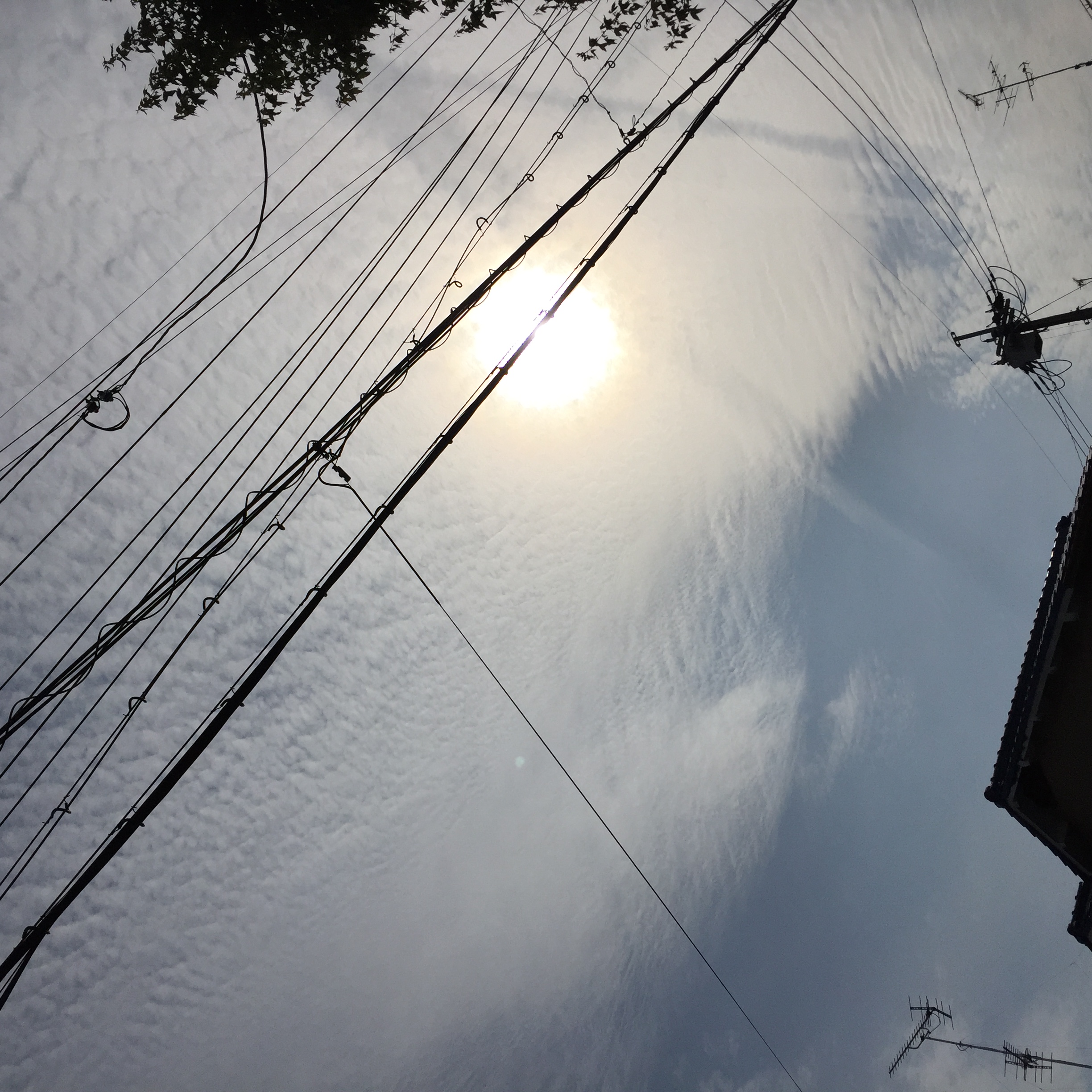 No.31932-1 地震雲