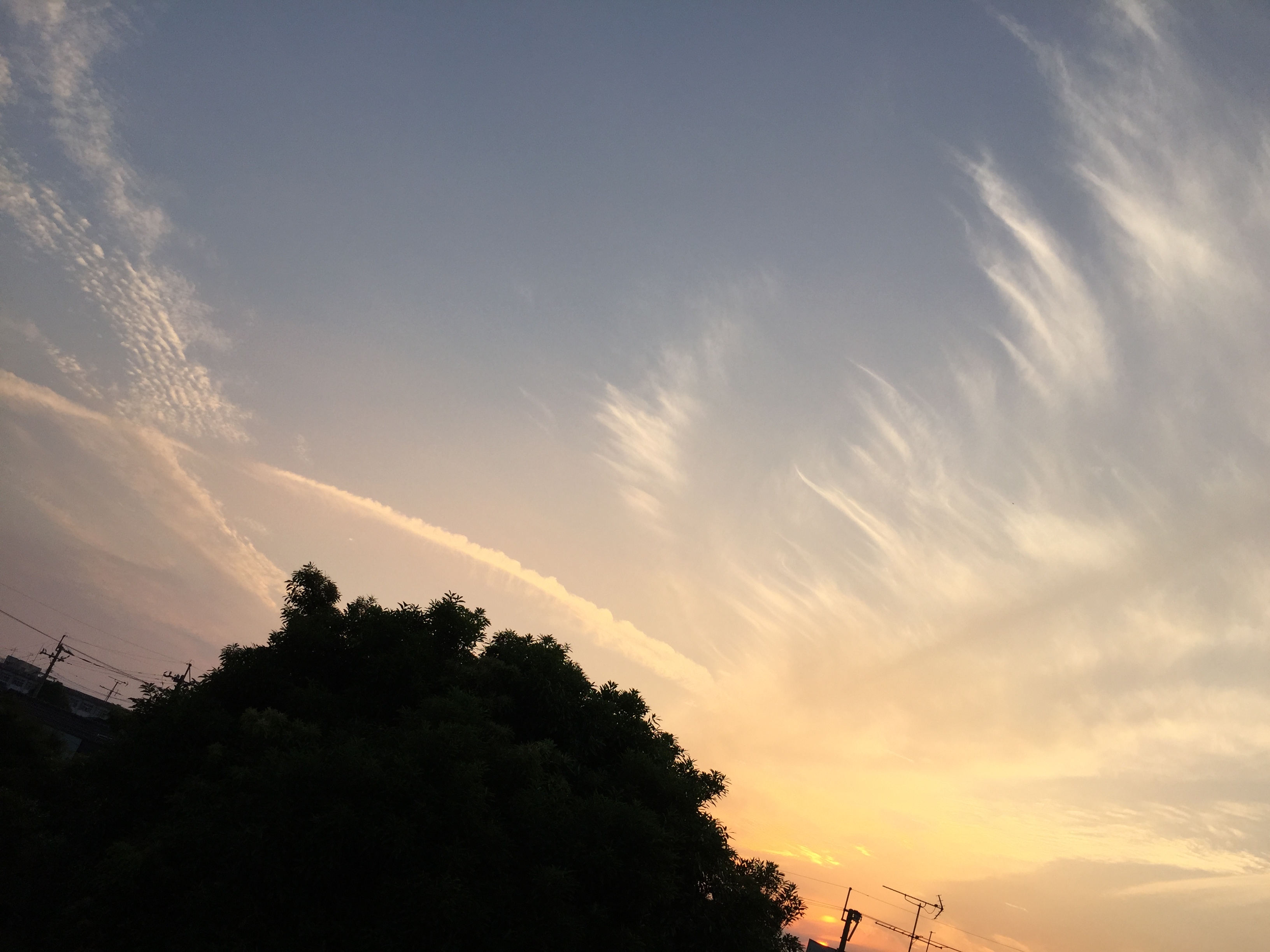 No.31978-1 地震雲