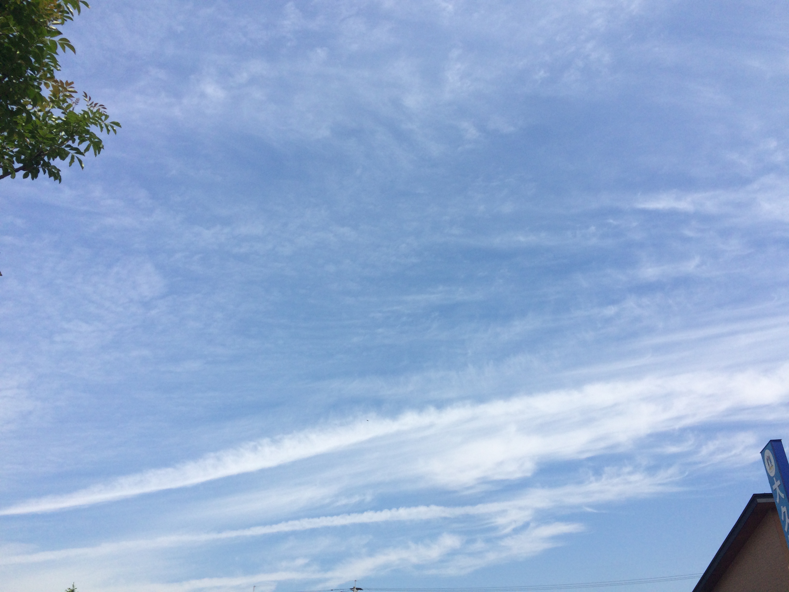 No.31998-1 地震雲