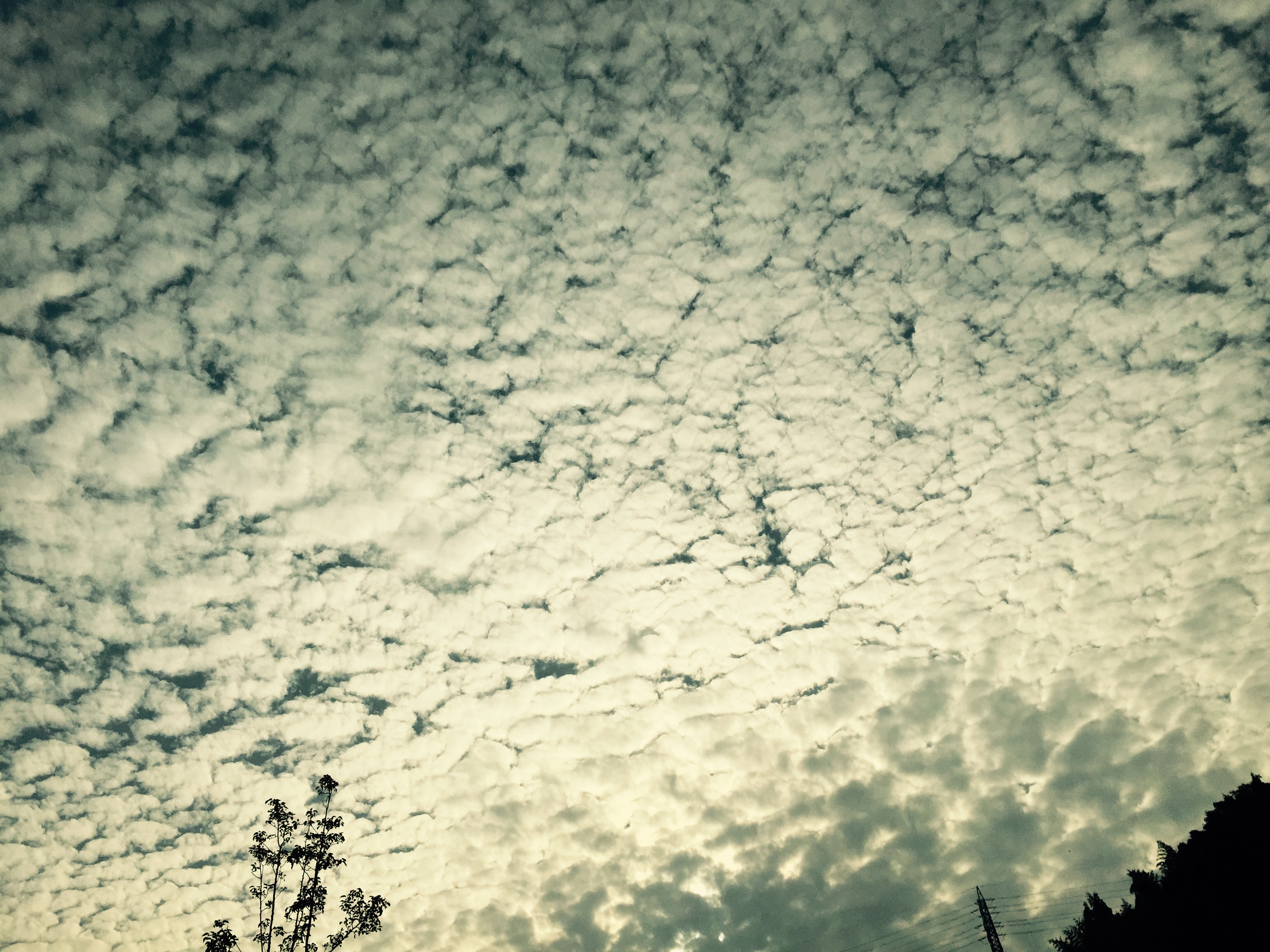 No.32024-1 地震雲