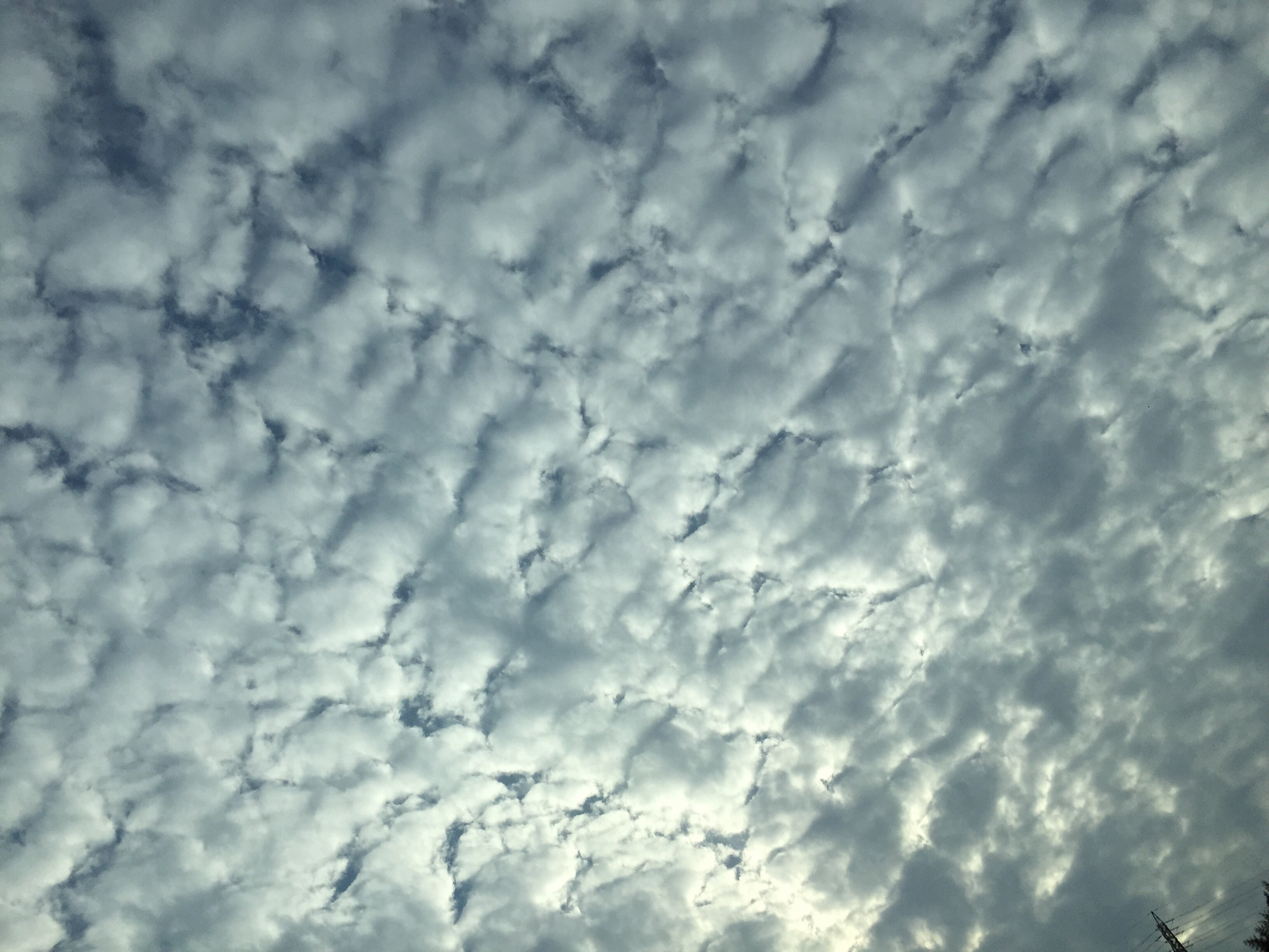 No.32025-1 地震雲