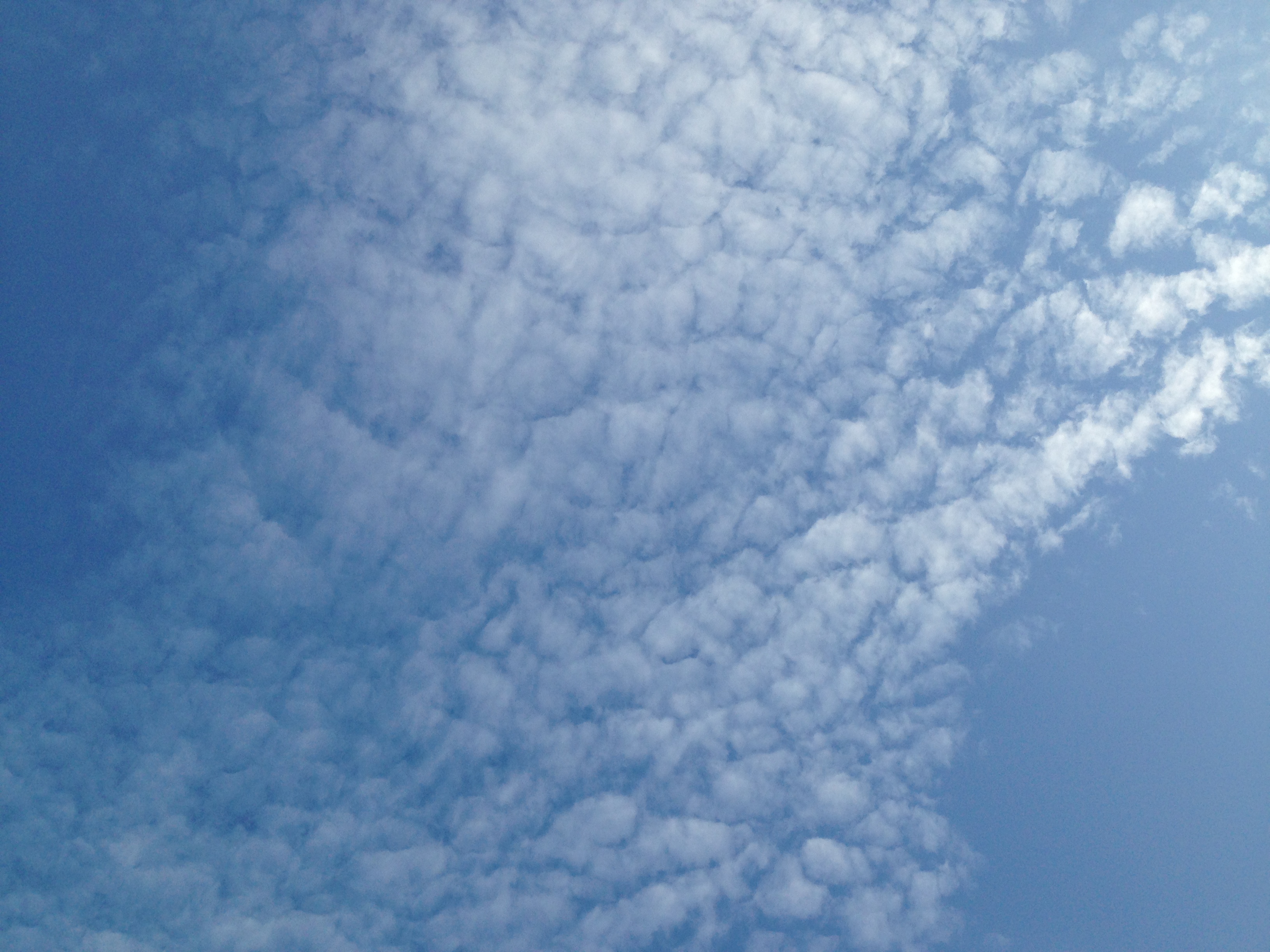 No.32062-1 地震雲