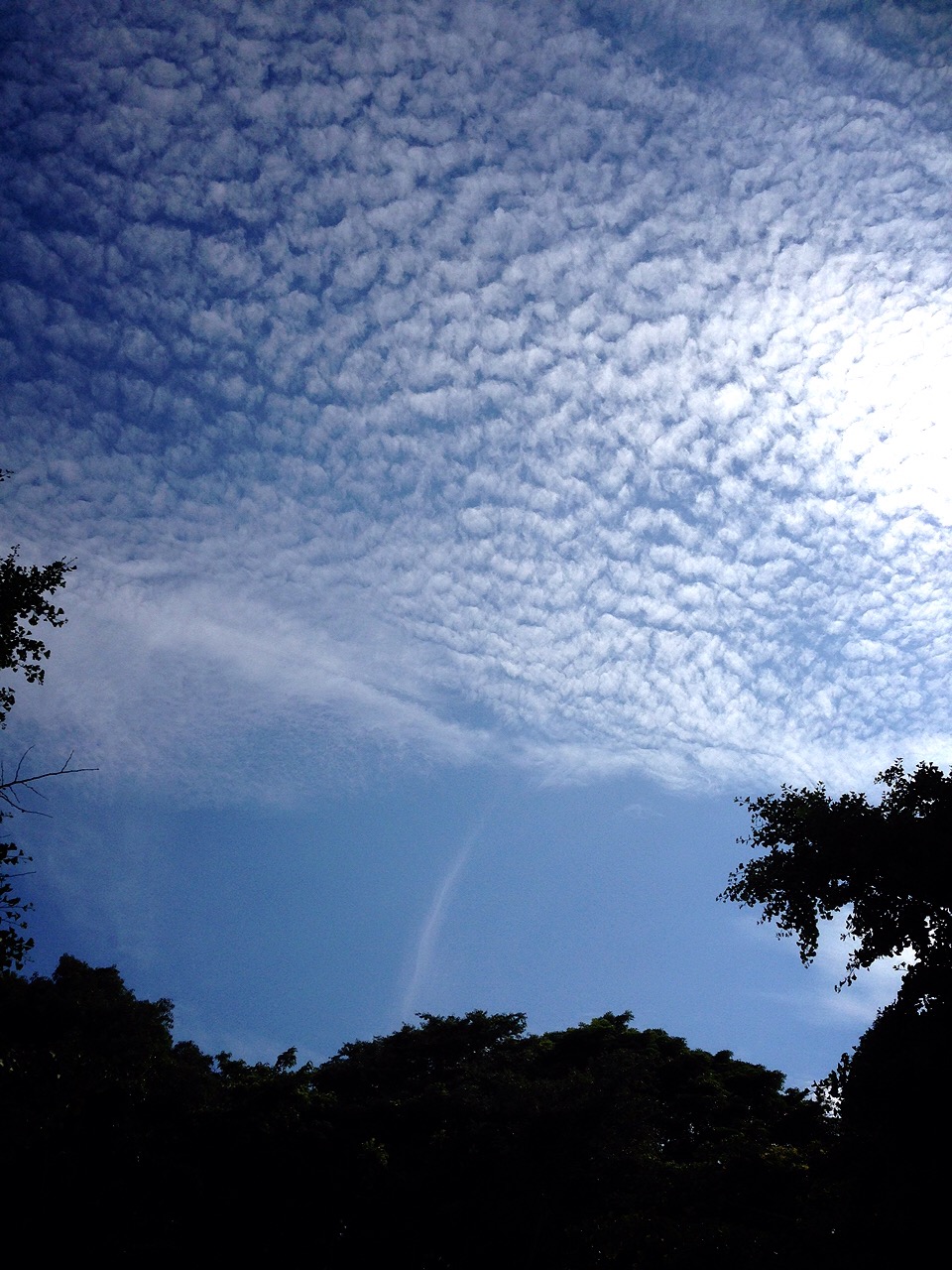 No.32063-1 地震雲