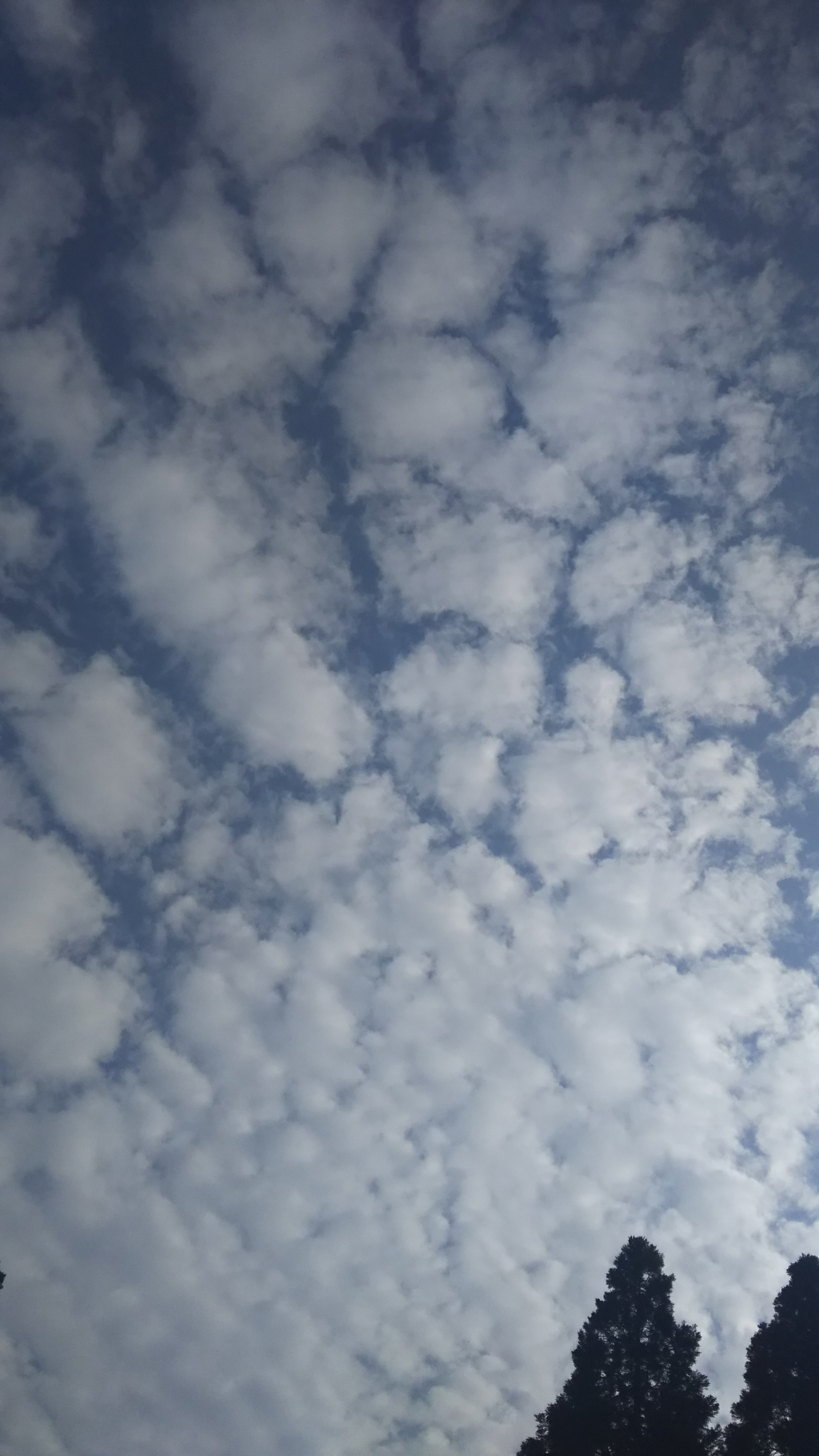 No.32169-1 地震雲