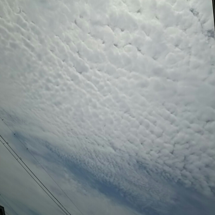 No.32175-1 地震雲