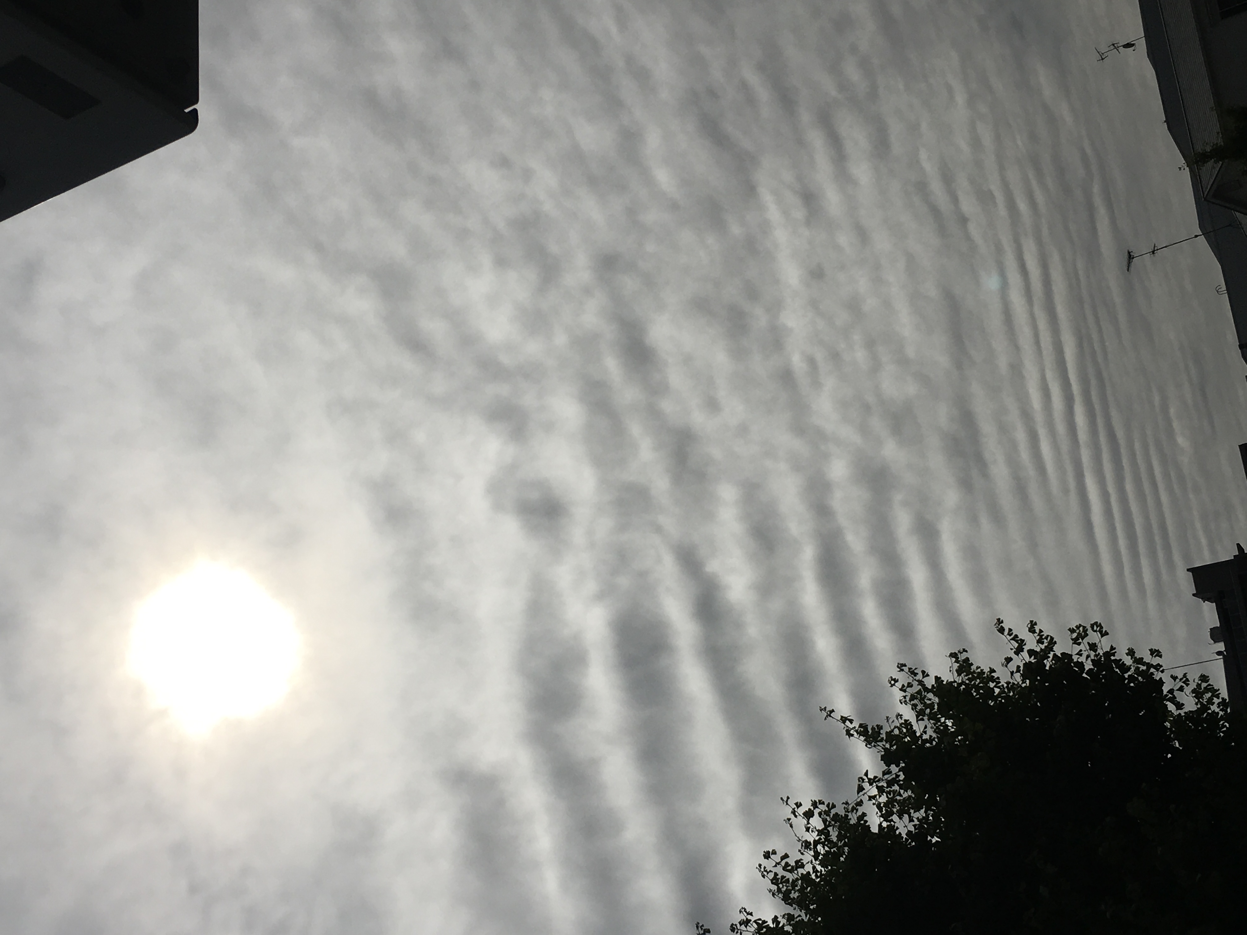 No.32195-1 地震雲