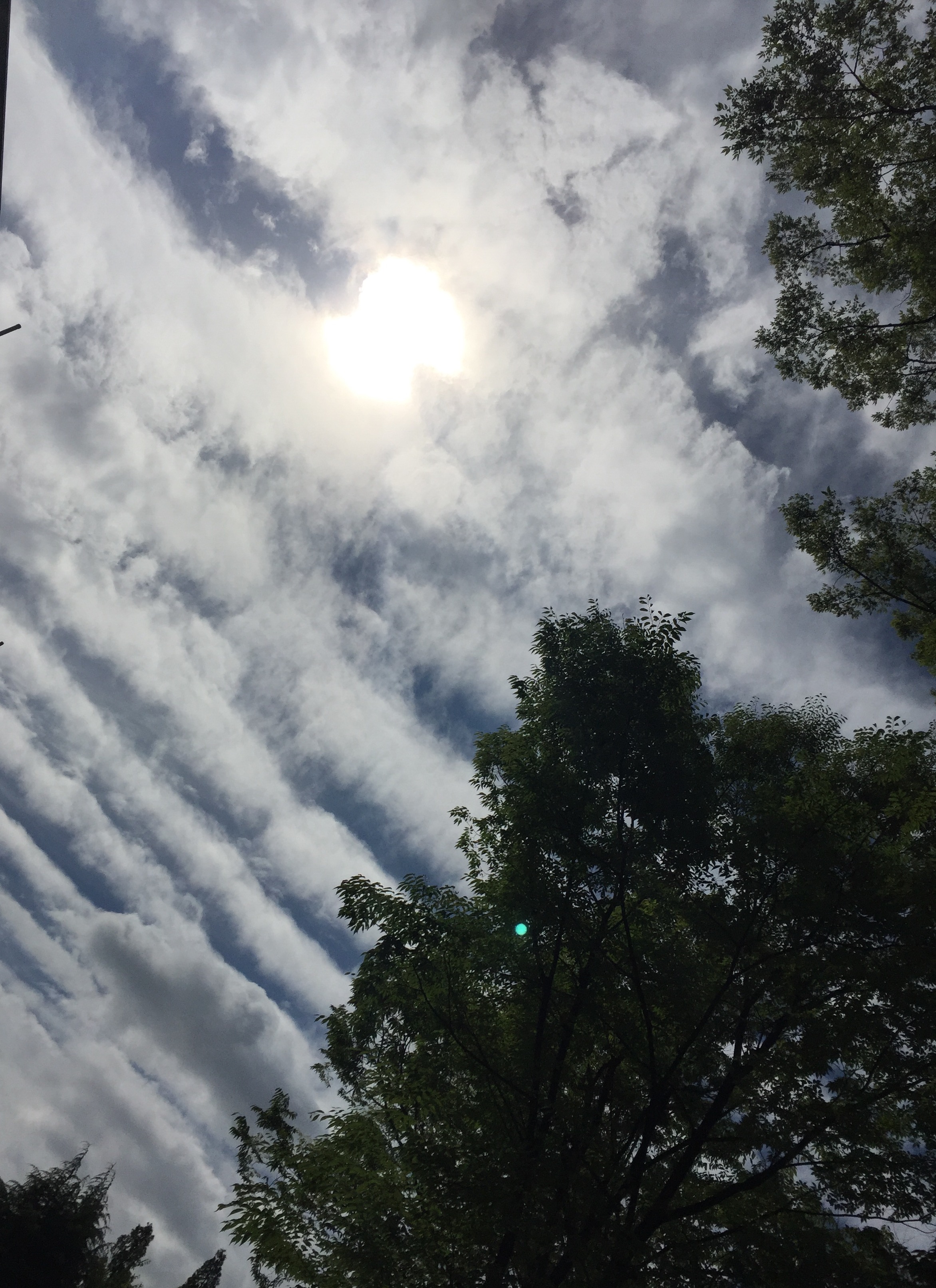 No.32258-1 地震雲