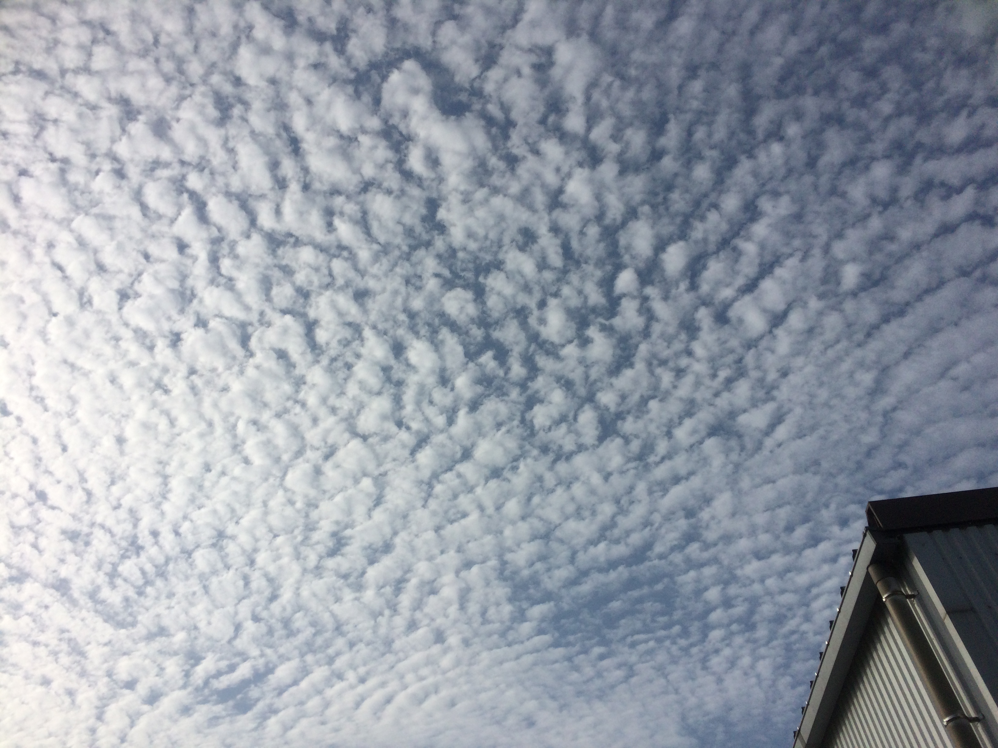 No.32279-1 地震雲