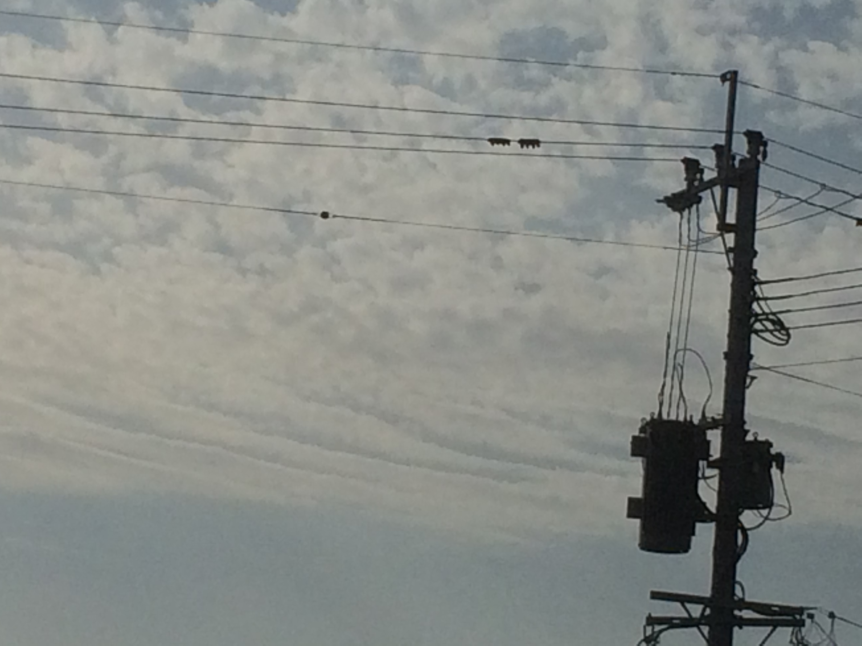 No.32280-1 地震雲