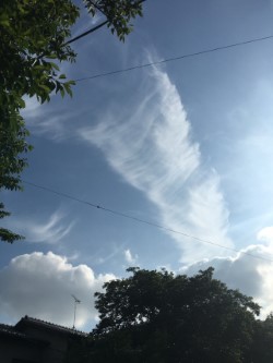 No.32295-1 地震雲