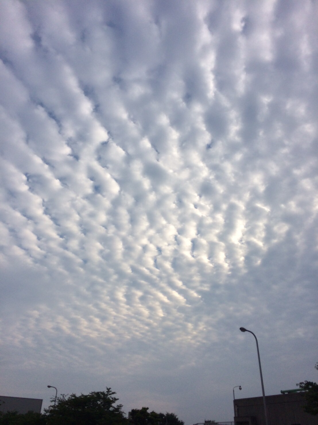 No.32396-1 地震雲