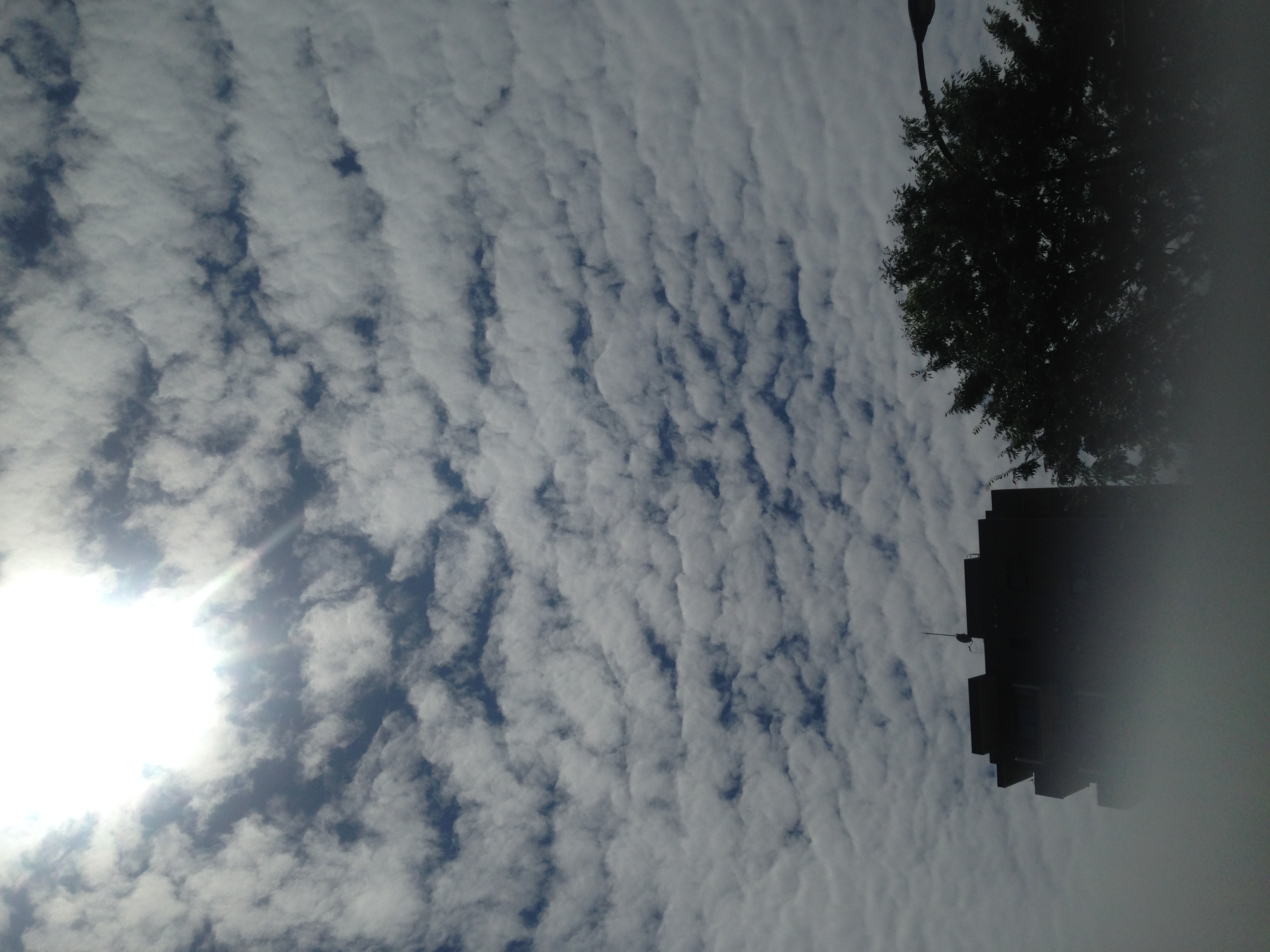 No.32425-1 地震雲