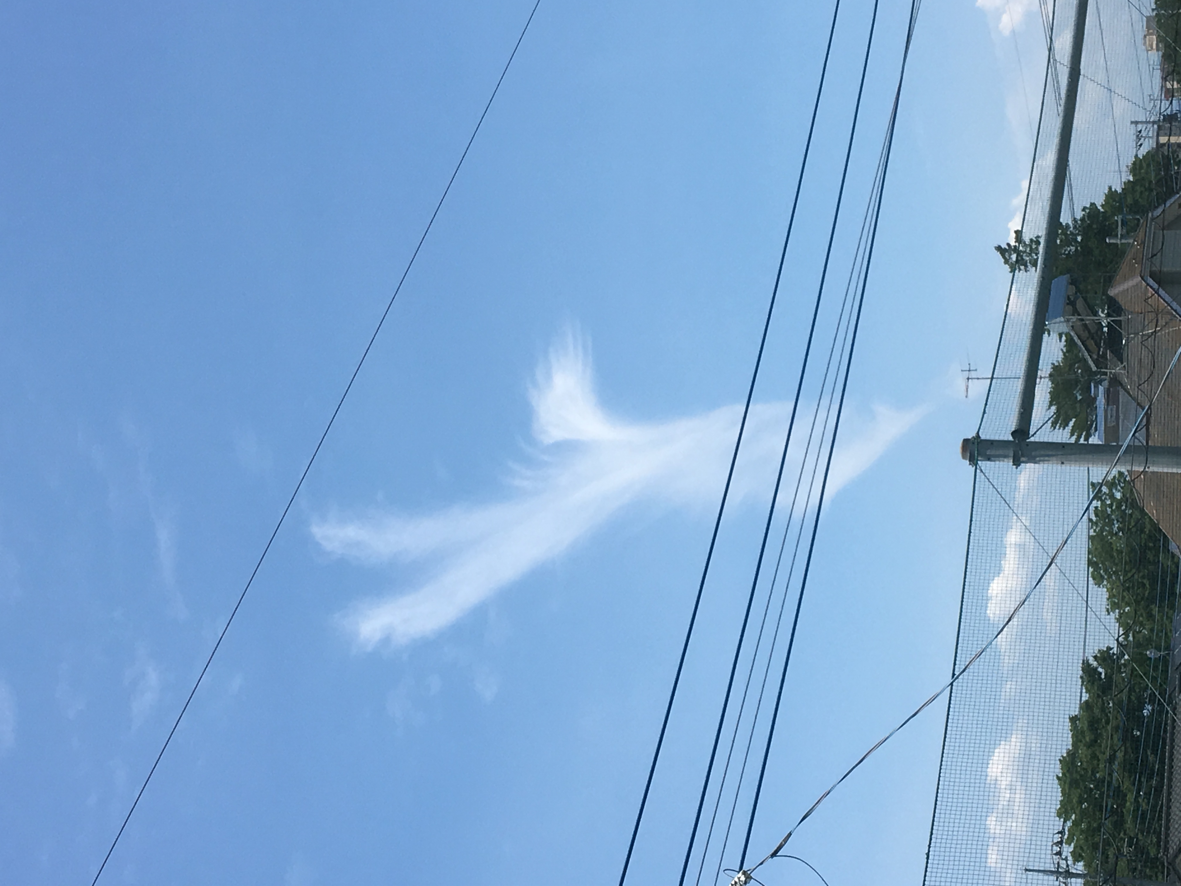 No.32552-1 地震雲