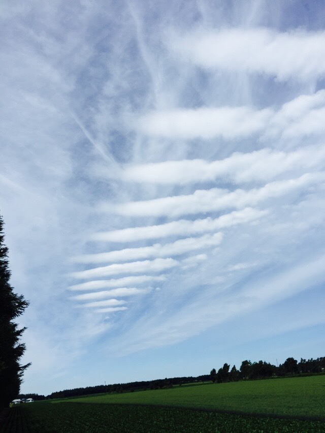 No.32967-1 地震雲