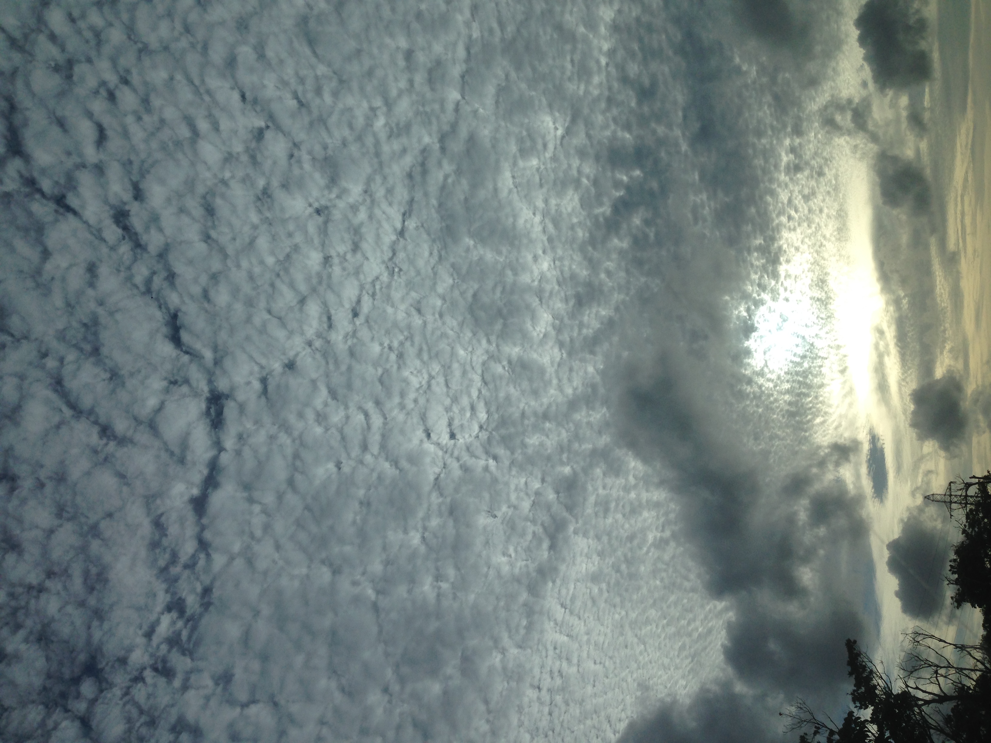 No.33130-1 地震雲