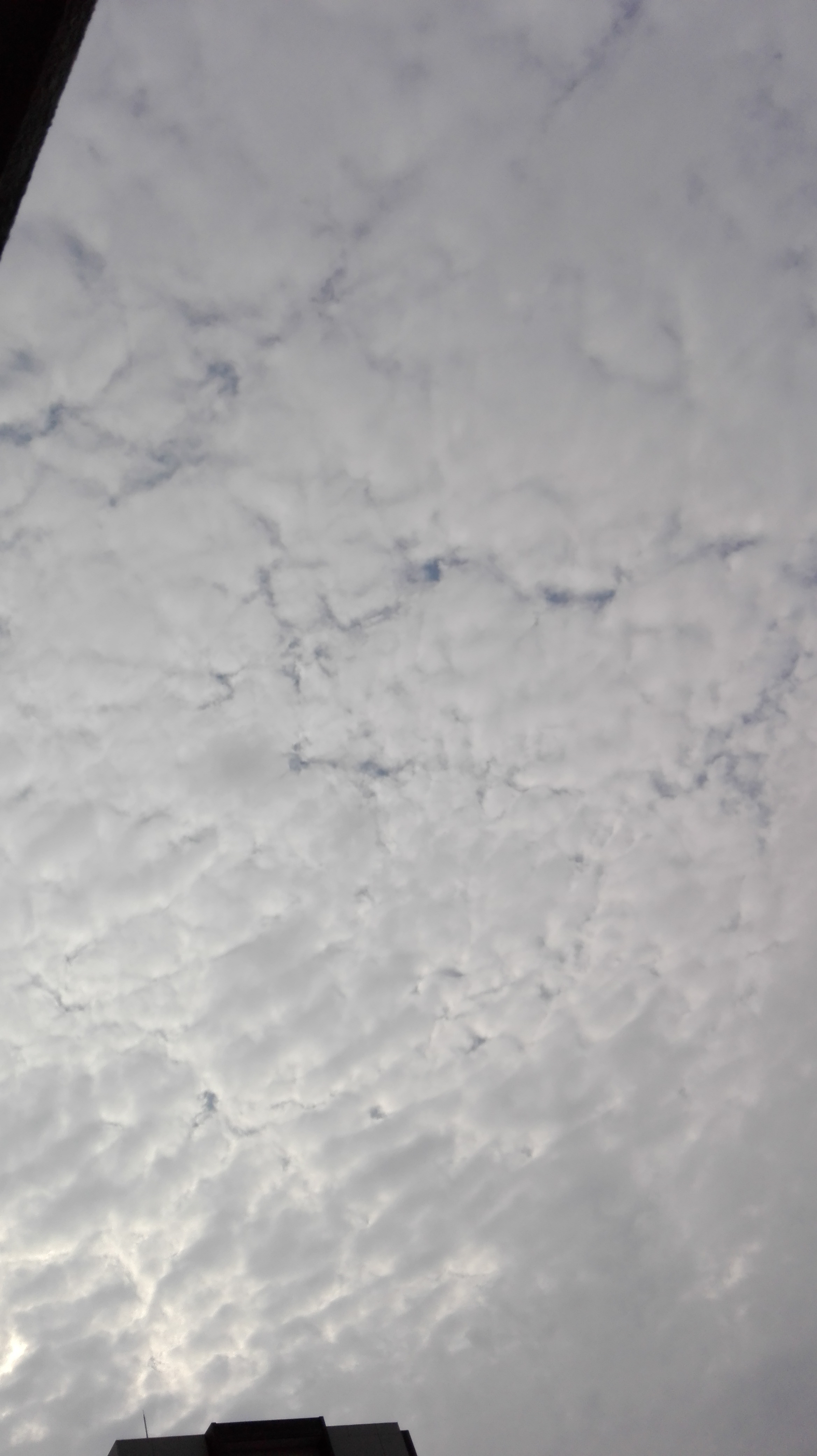 No.34556-1 地震雲