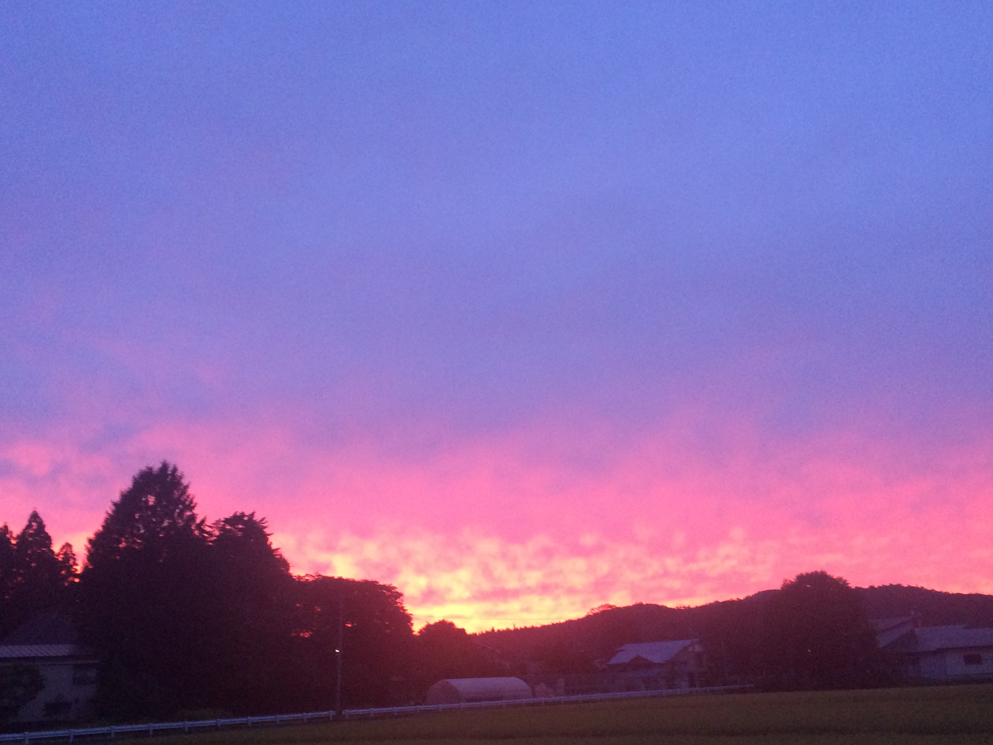 No.35110-1 地震雲