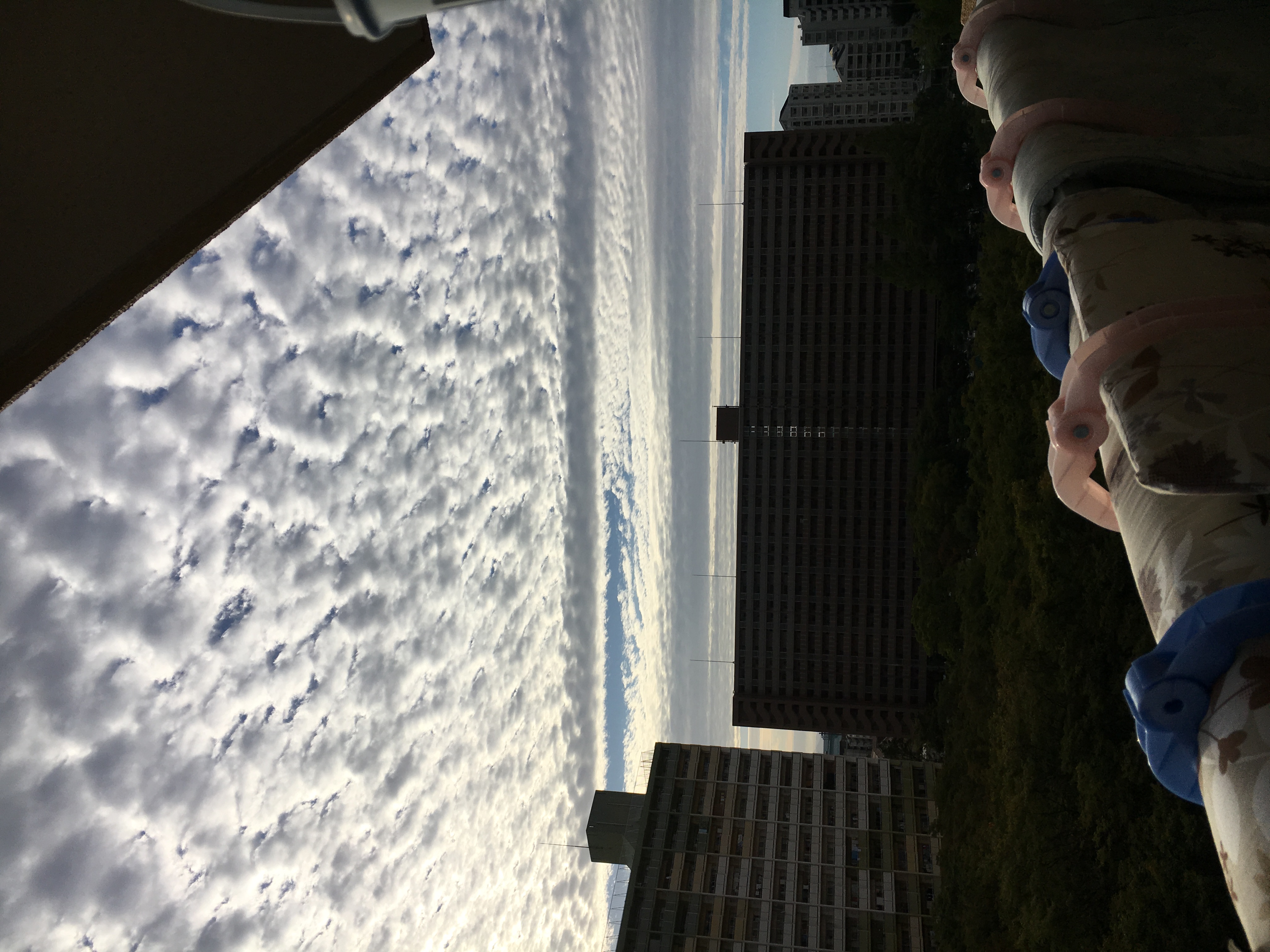 No.35651-1 地震雲