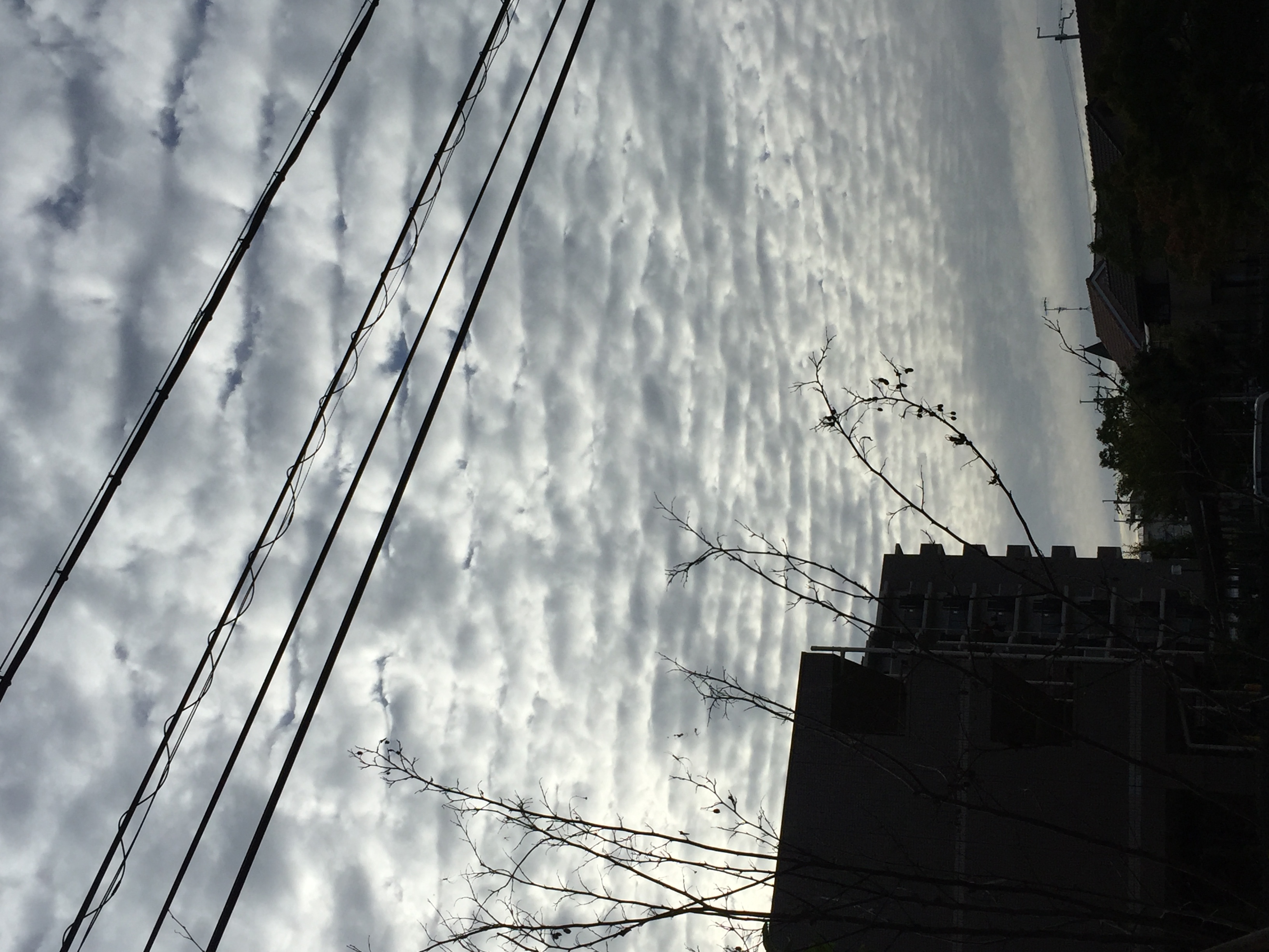 No.35706-1 地震雲