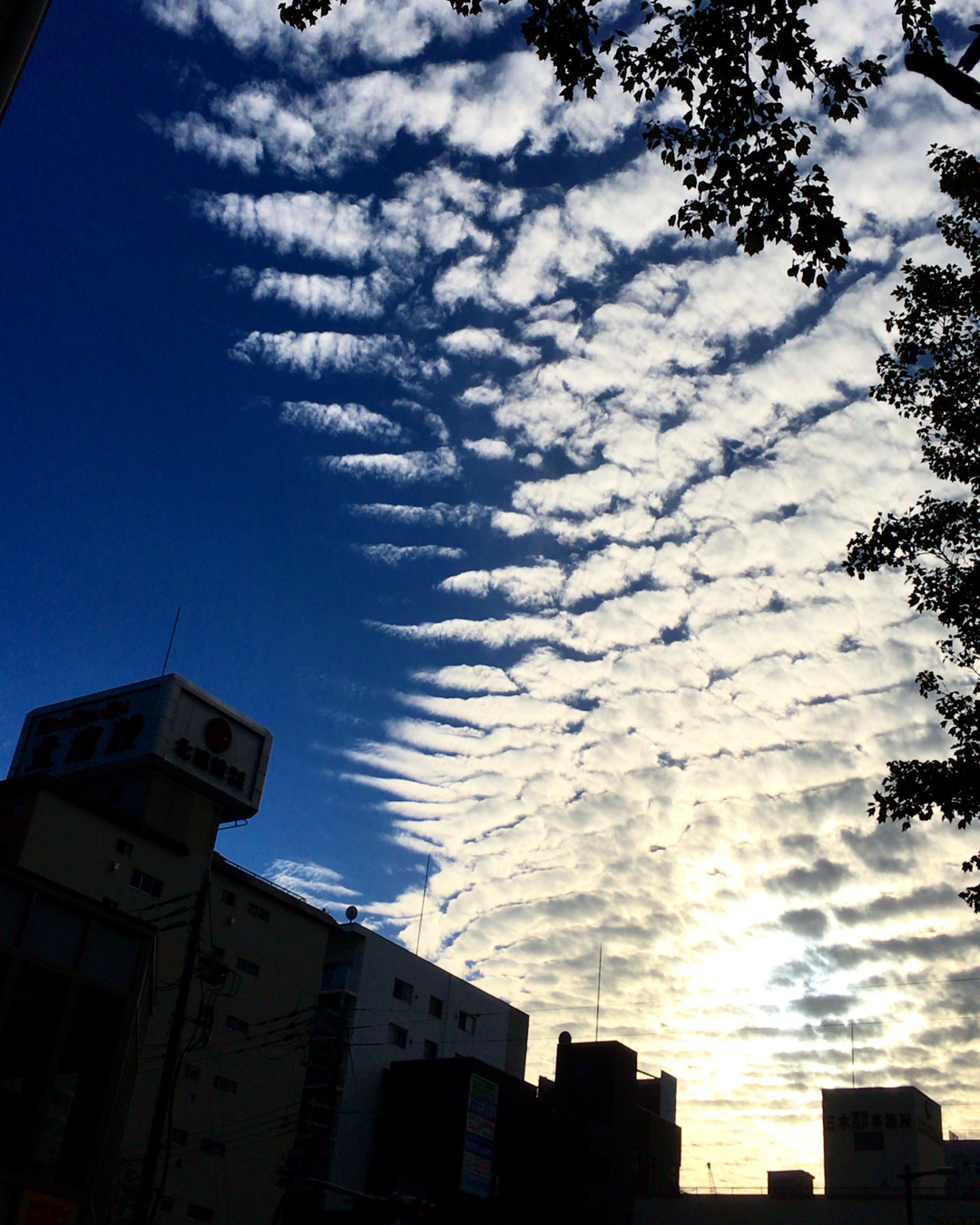 No.35769-1 地震雲