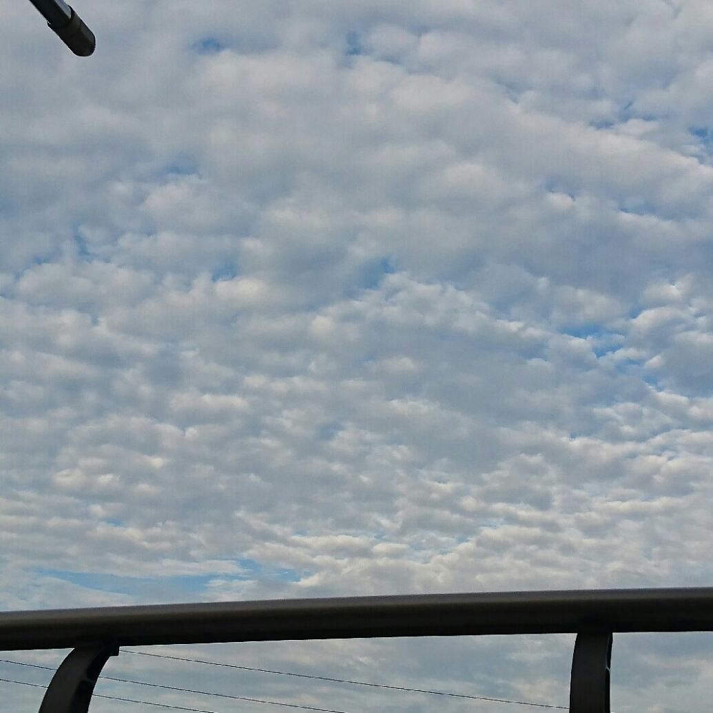 No.35781-1 地震雲