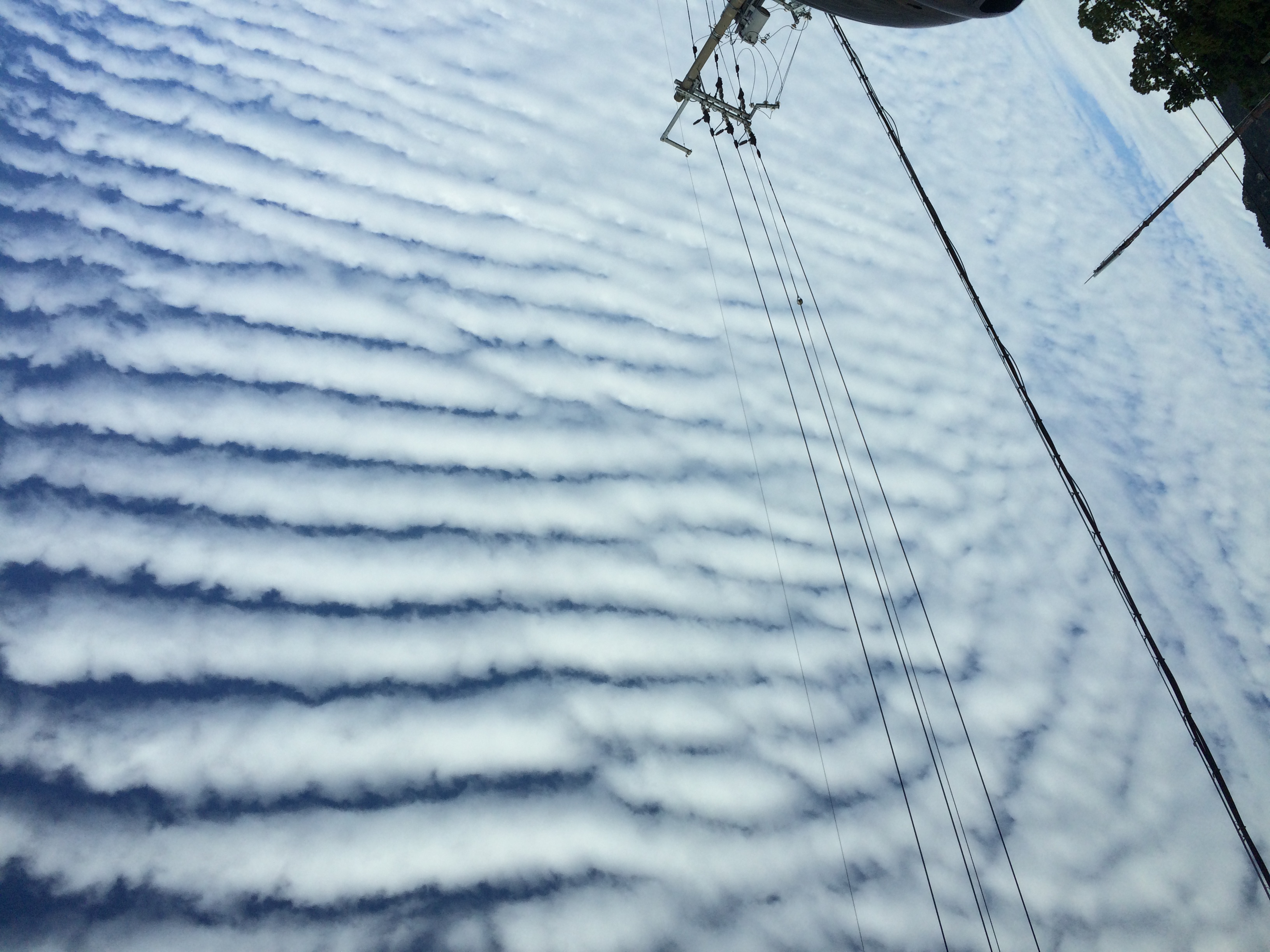 No.35784-1 地震雲