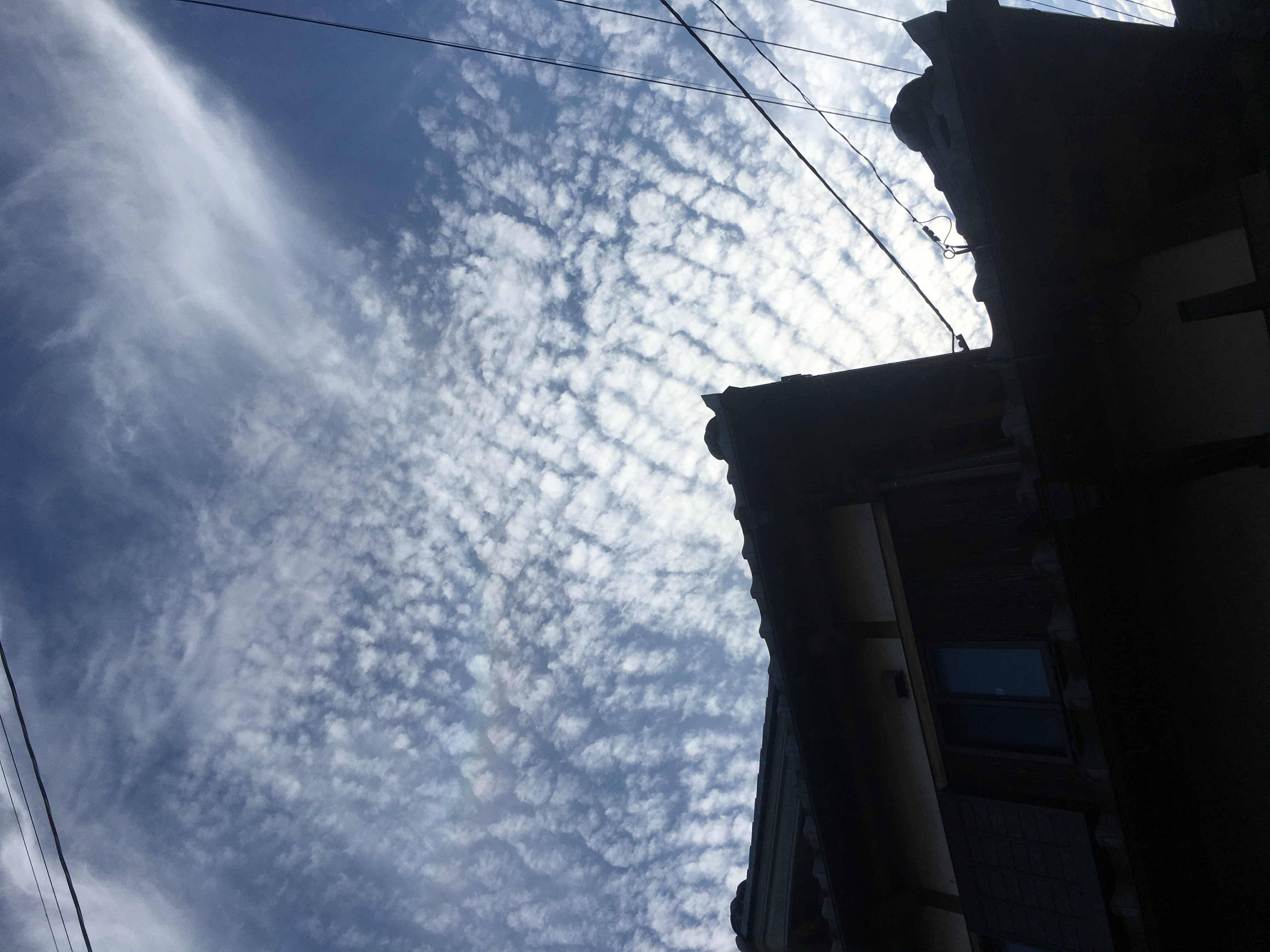 No.36087-1 地震雲