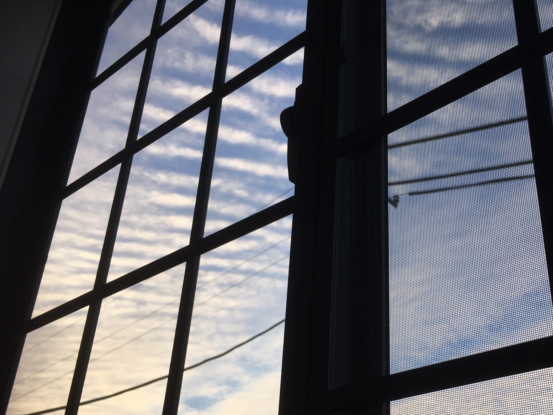 No.36167-1 地震雲