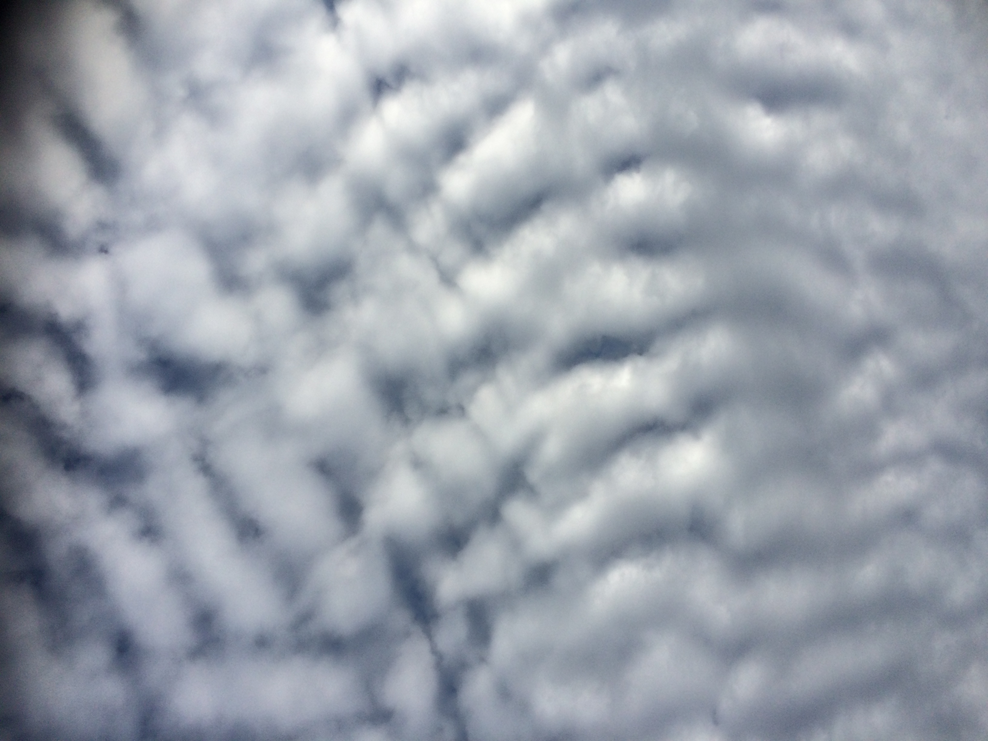 No.36170-1 地震雲