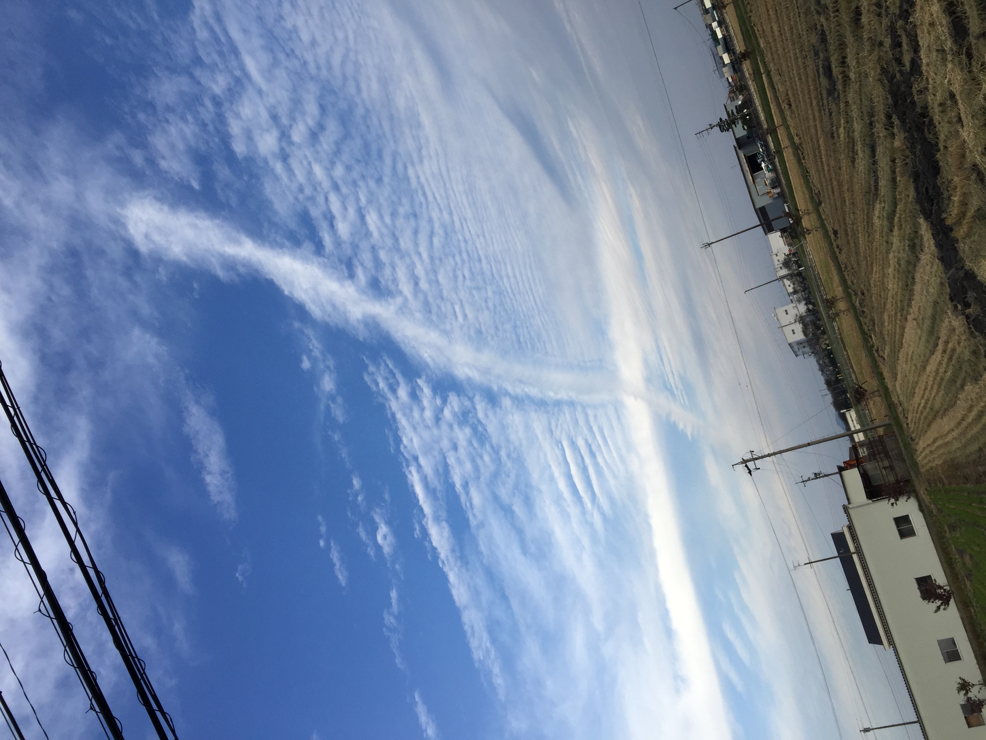 No.36173-1 地震雲