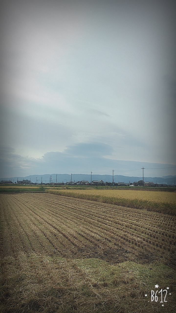 No.36319-1 地震雲