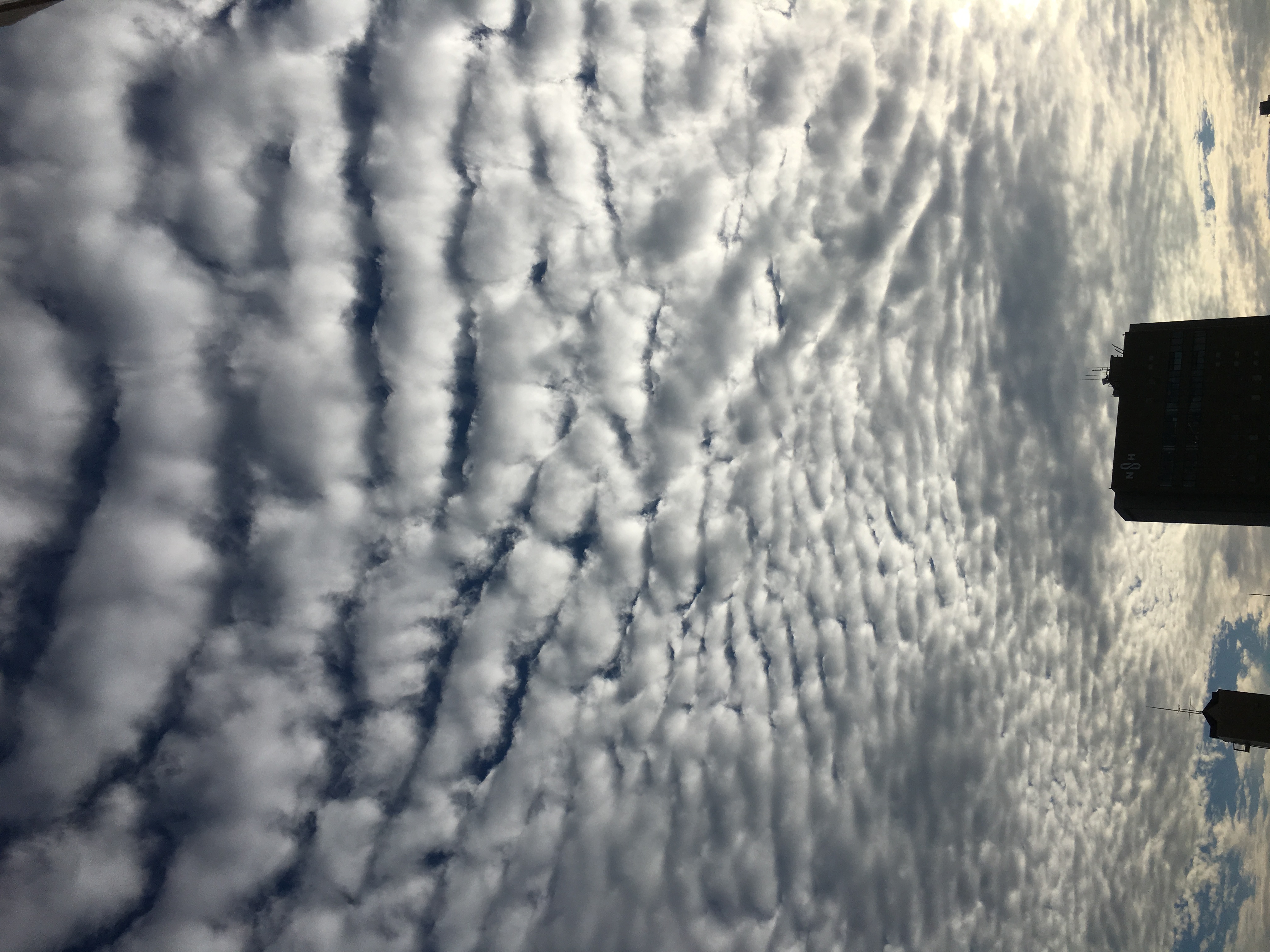 No.36355-1 地震雲