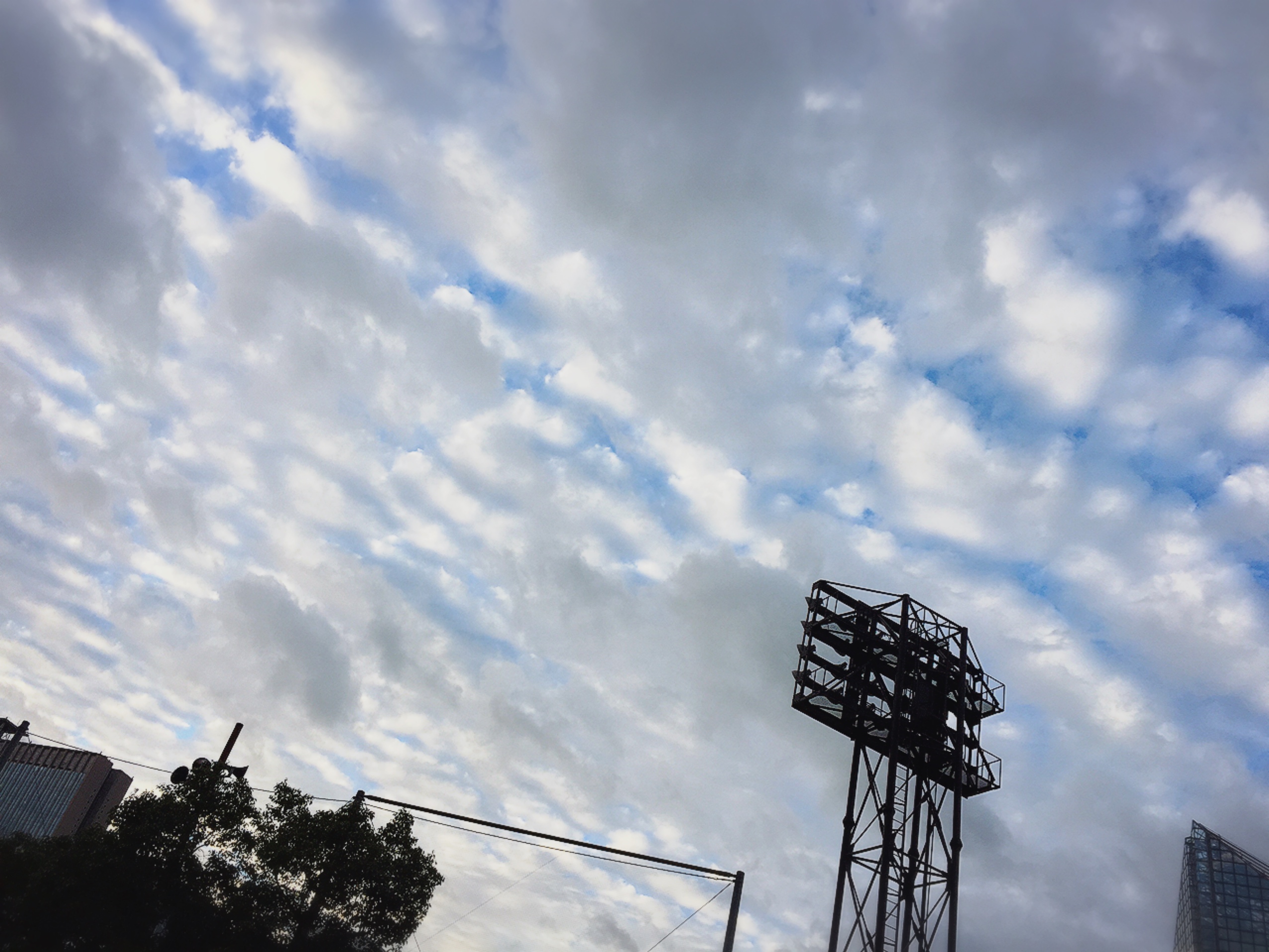 No.36360-1 地震雲