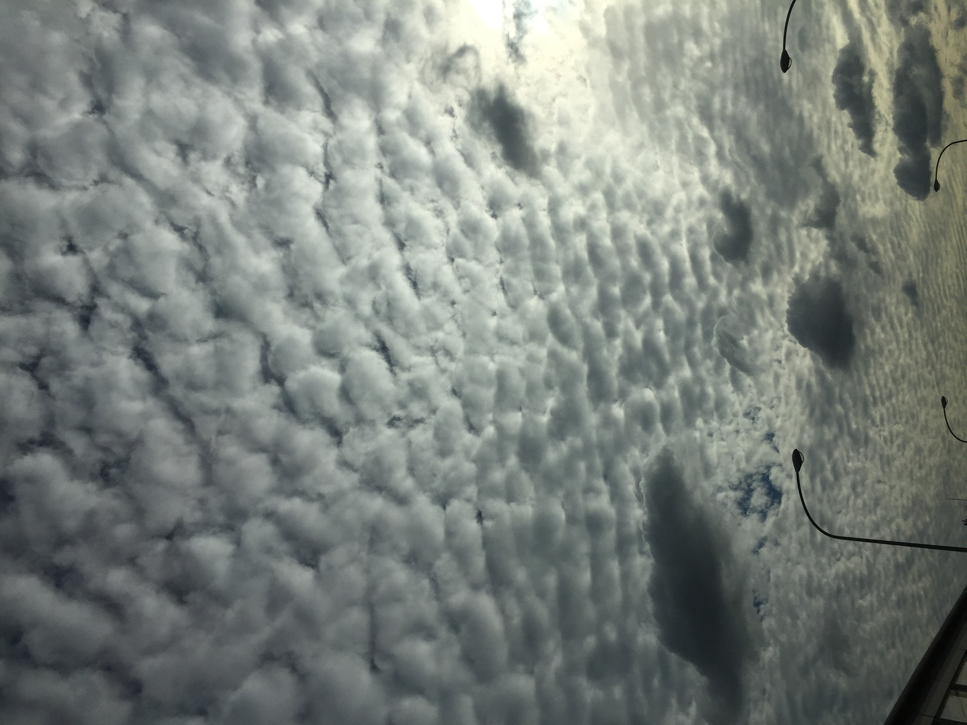 No.36375-1 地震雲