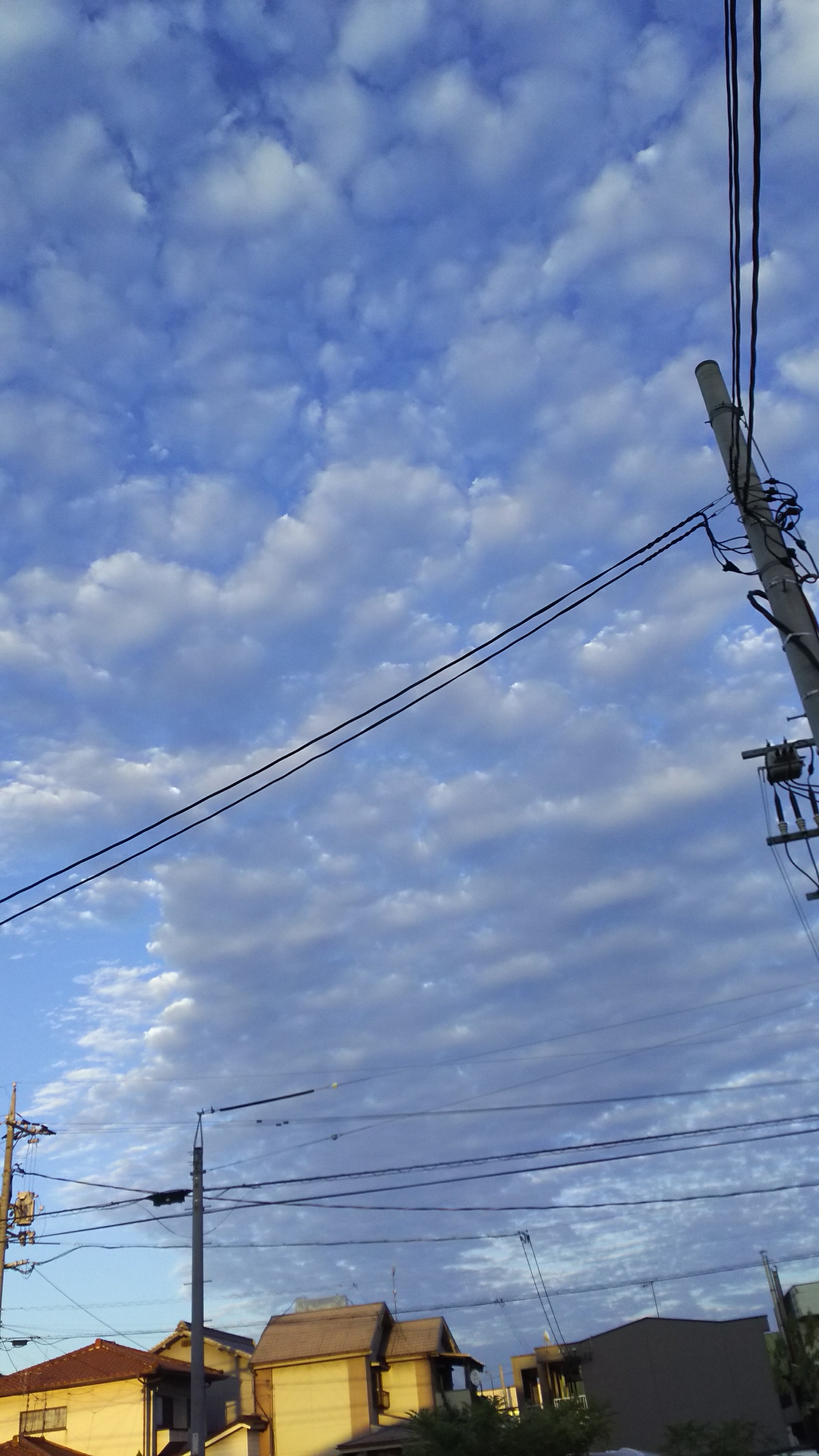 No.36376-1 地震雲